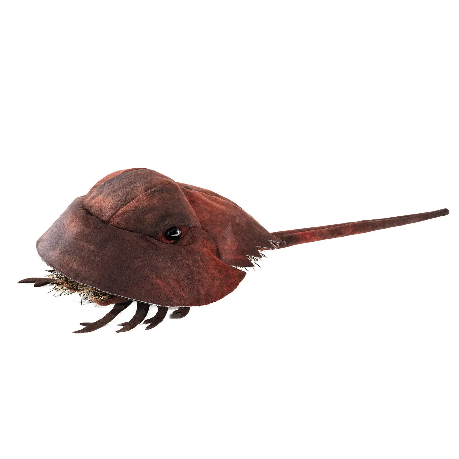 Horseshoe Crab / Pfeilschwanzkrebs-Folkmanis® Puppets