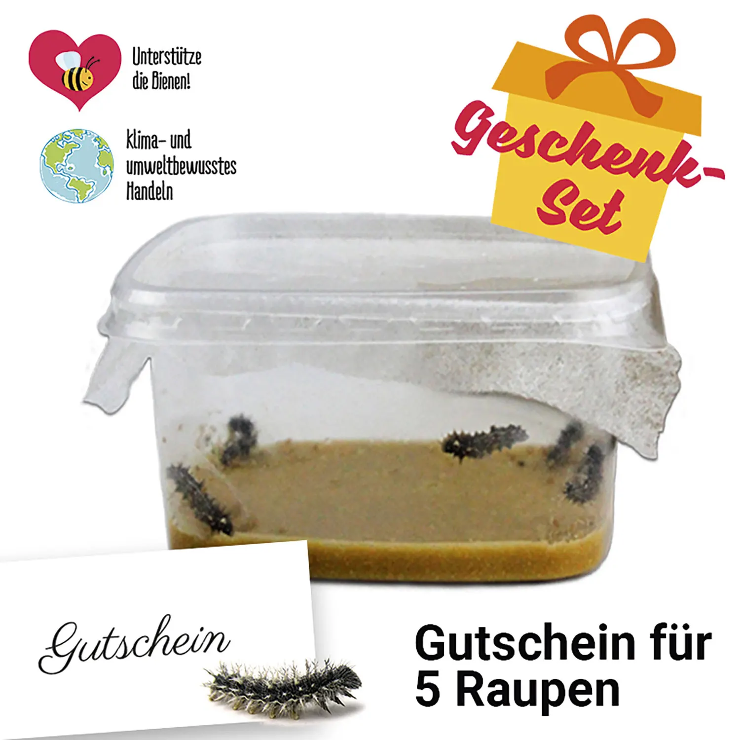 Geschenkset Nachbestellung Schmetterlings-Raupen, 5 Stk.-Hagemann