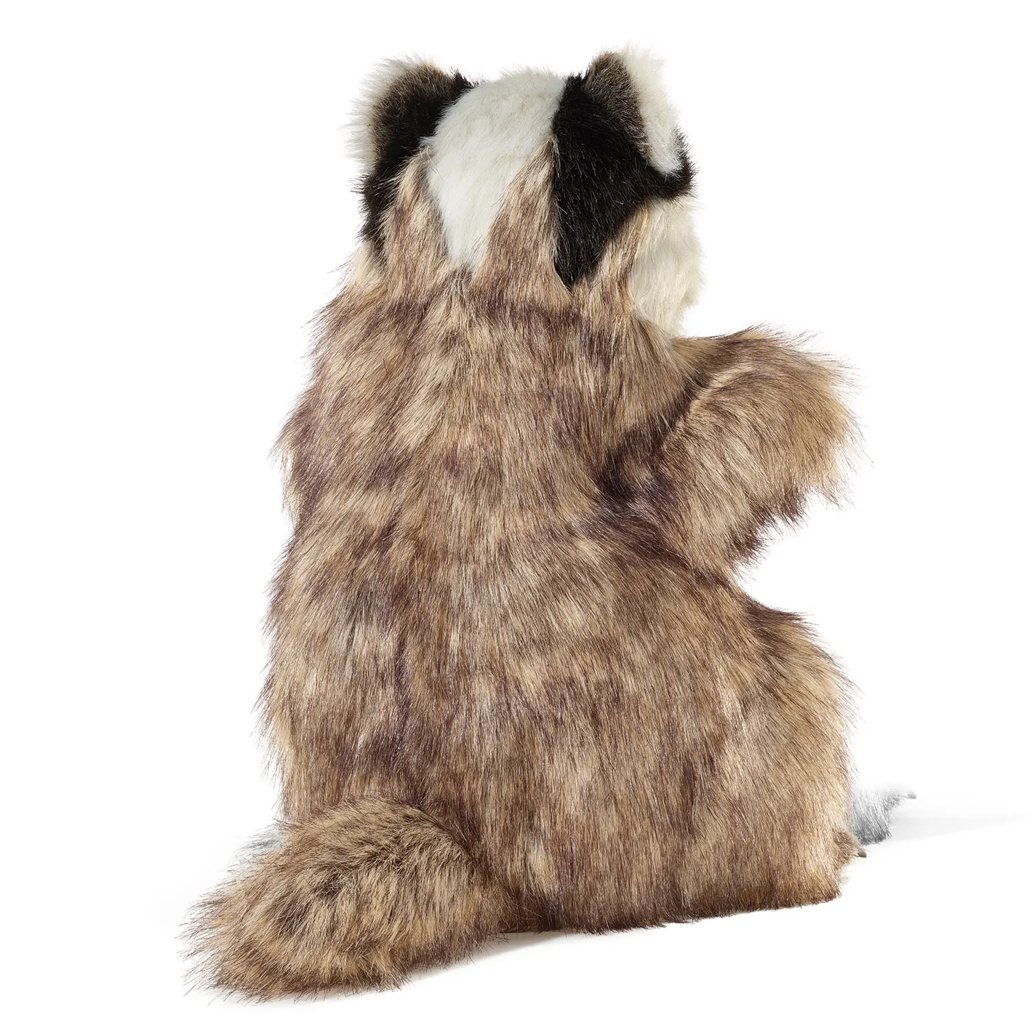 Badger / Dachs