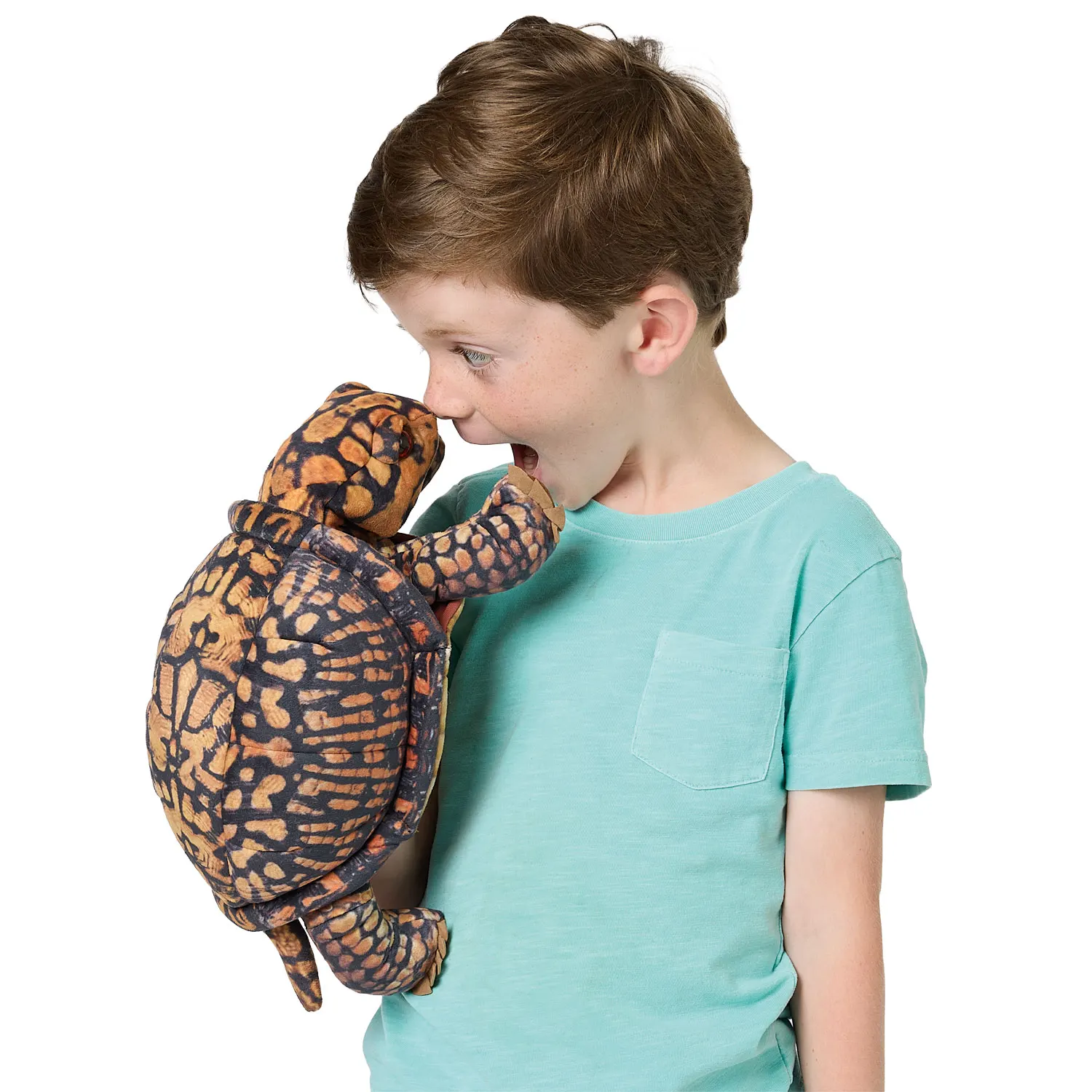 Box Turtle / Dosenschildkröte-Folkmanis® Handpuppen