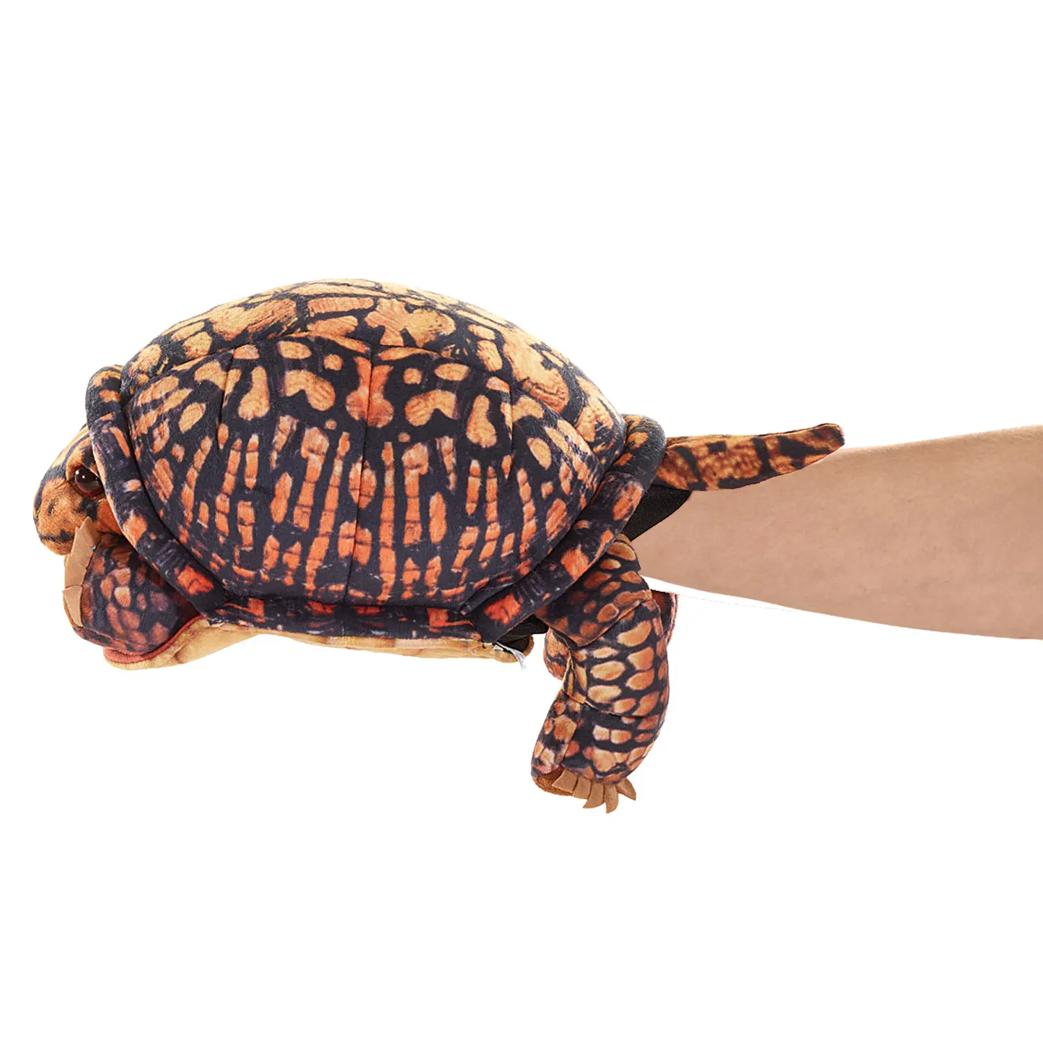 Box Turtle / Dosenschildkröte-Folkmanis® Handpuppen