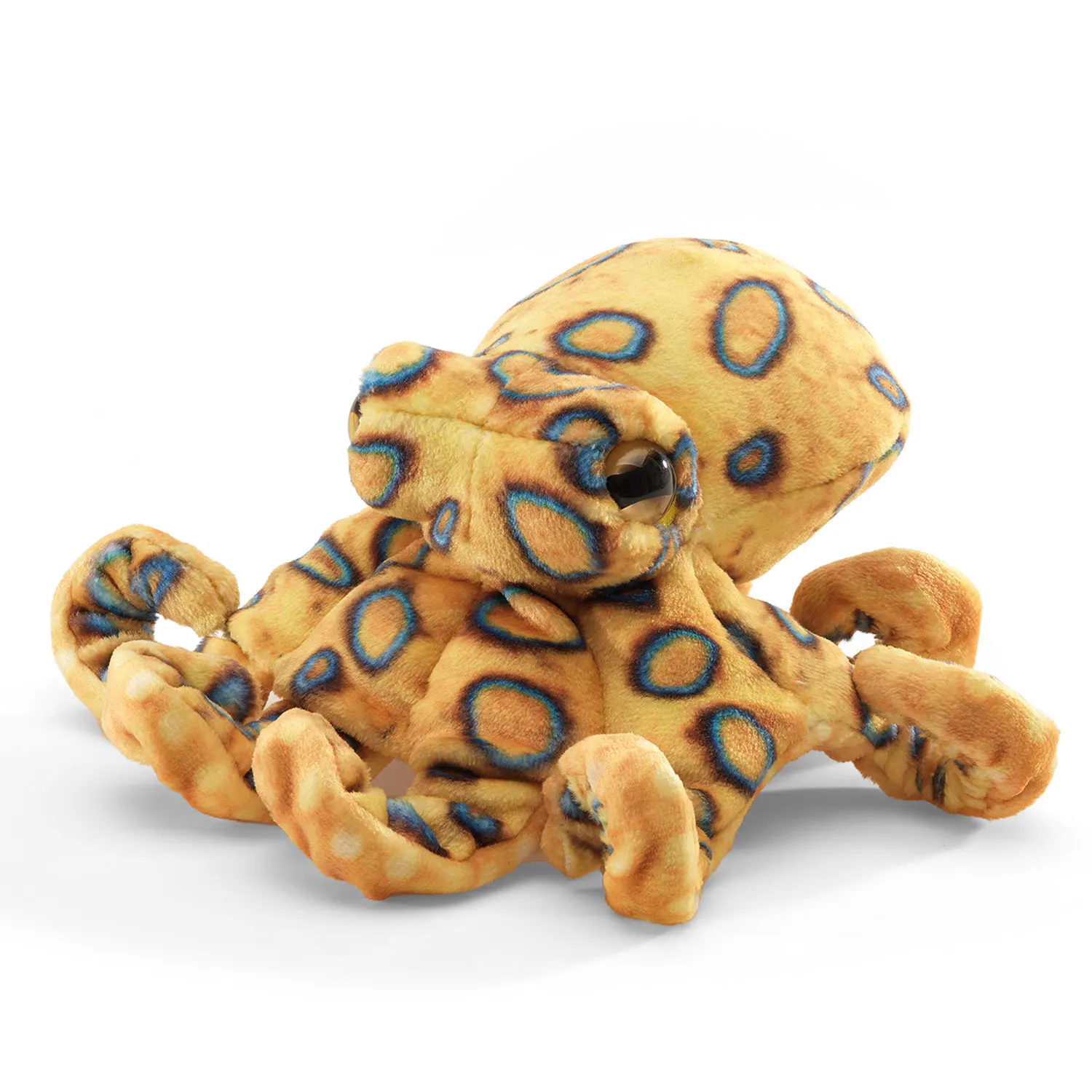 Mini Blue-ringed  Octopus / Mini blaugeringelte Krake-Folkmanis® Puppets
