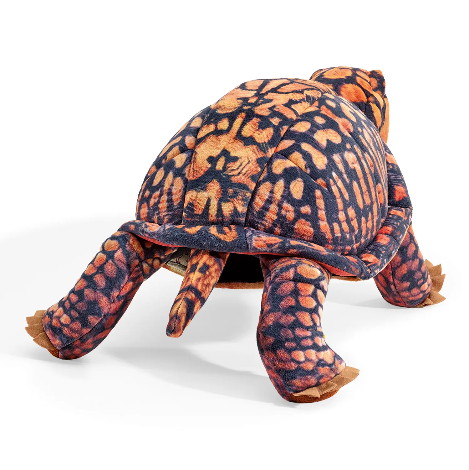 Box Turtle / Dosenschildkröte-Folkmanis® Handpuppen