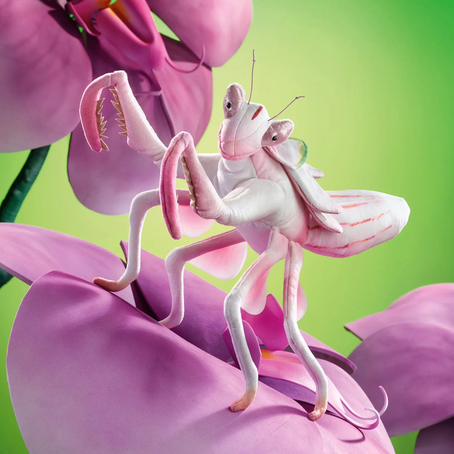 Gottesanbeterin / Orchid Mantis-Folkmanis® Handpuppen