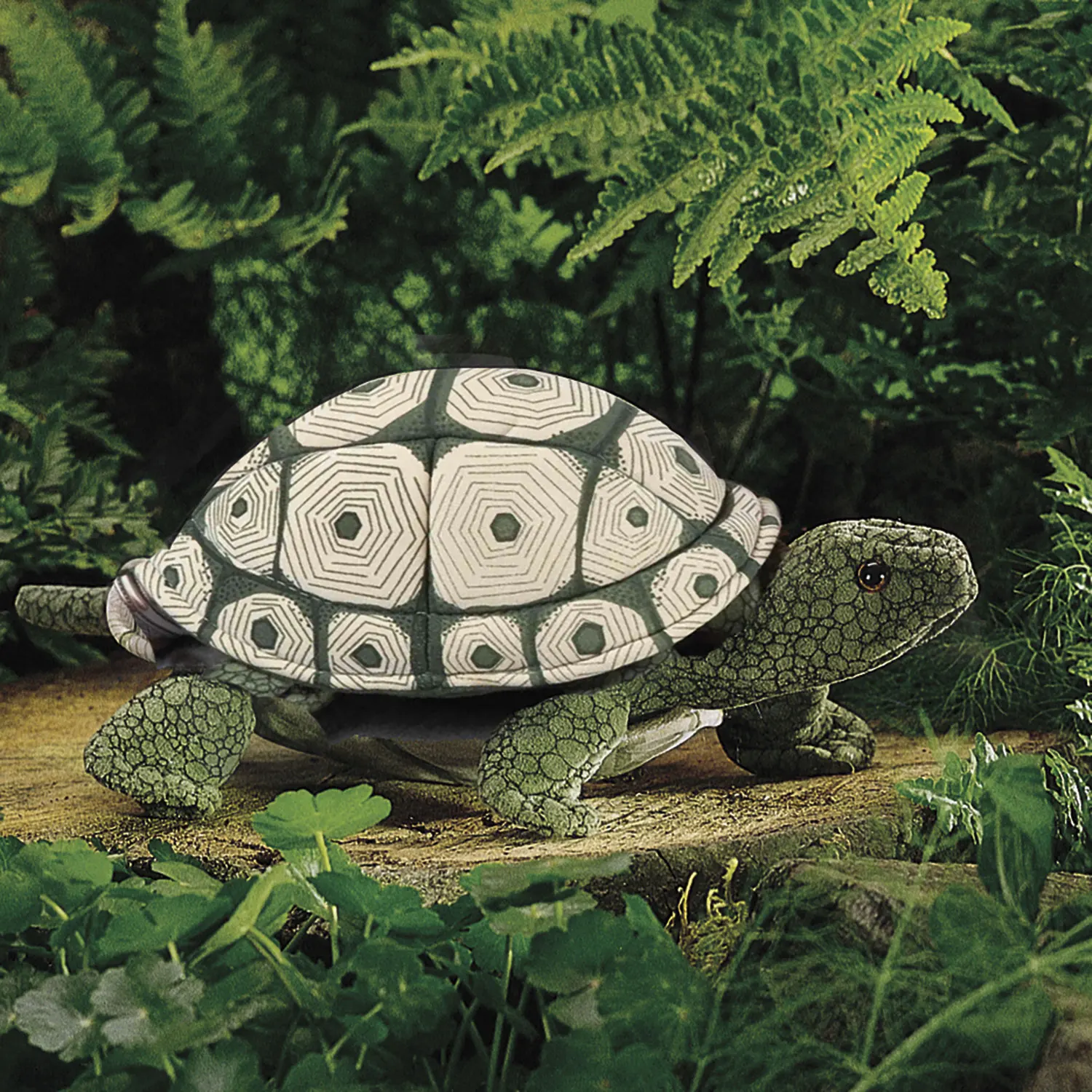 Landschildkröte (helles Muster) / Tortoise-Folkmanis® Puppets