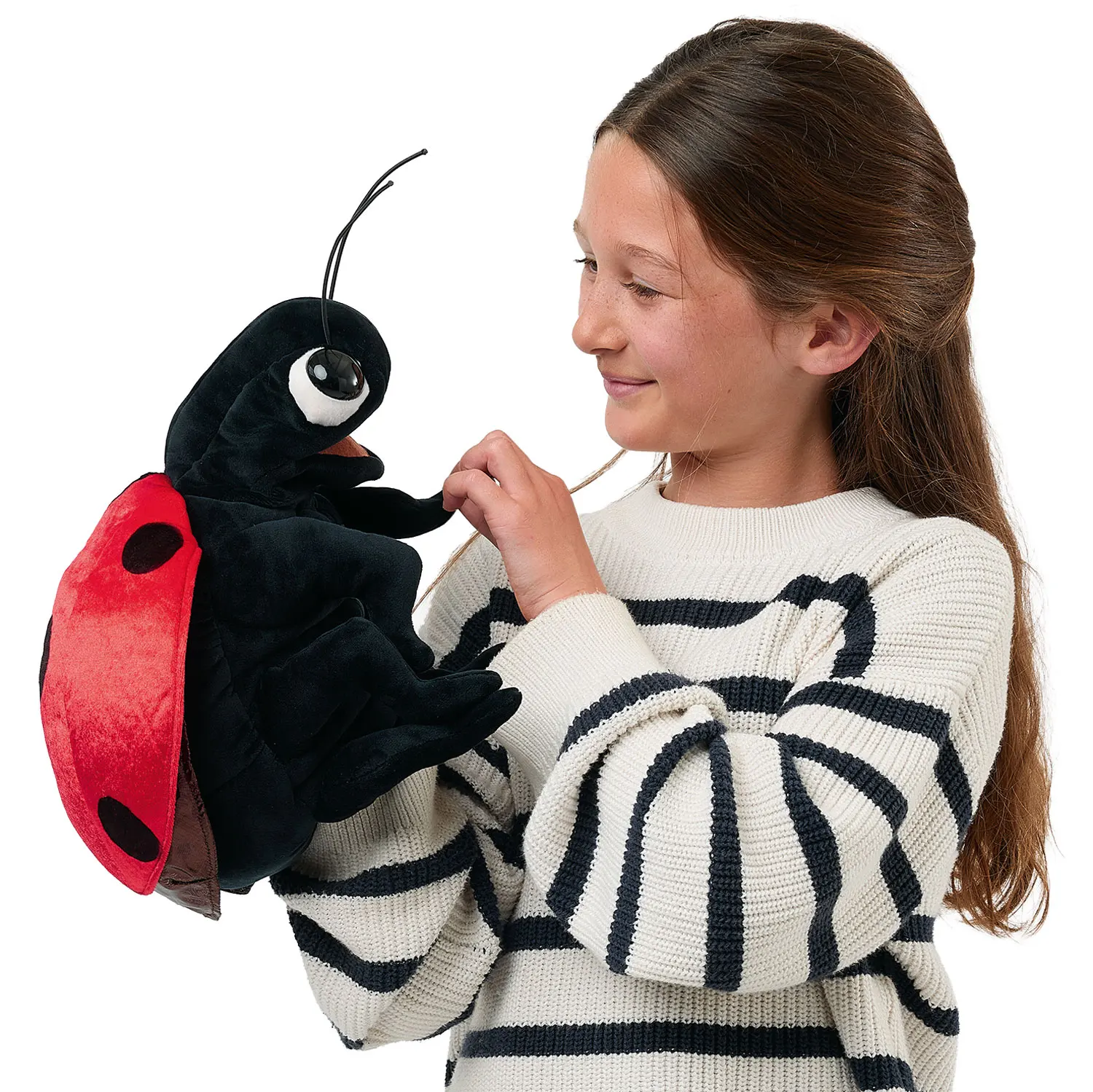 Ladybug / Marienkäfer