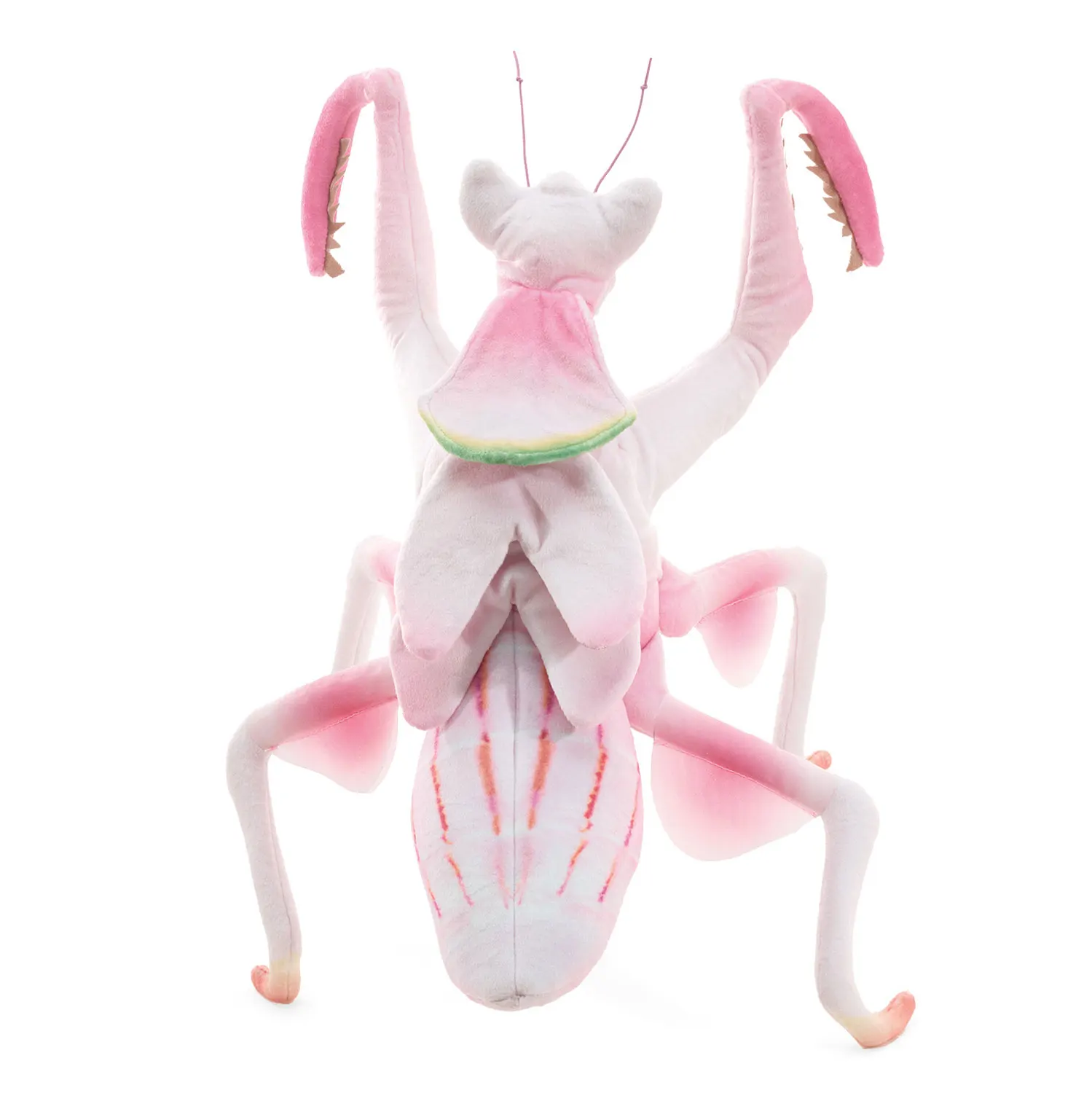 Gottesanbeterin / Orchid Mantis-Folkmanis® Handpuppen