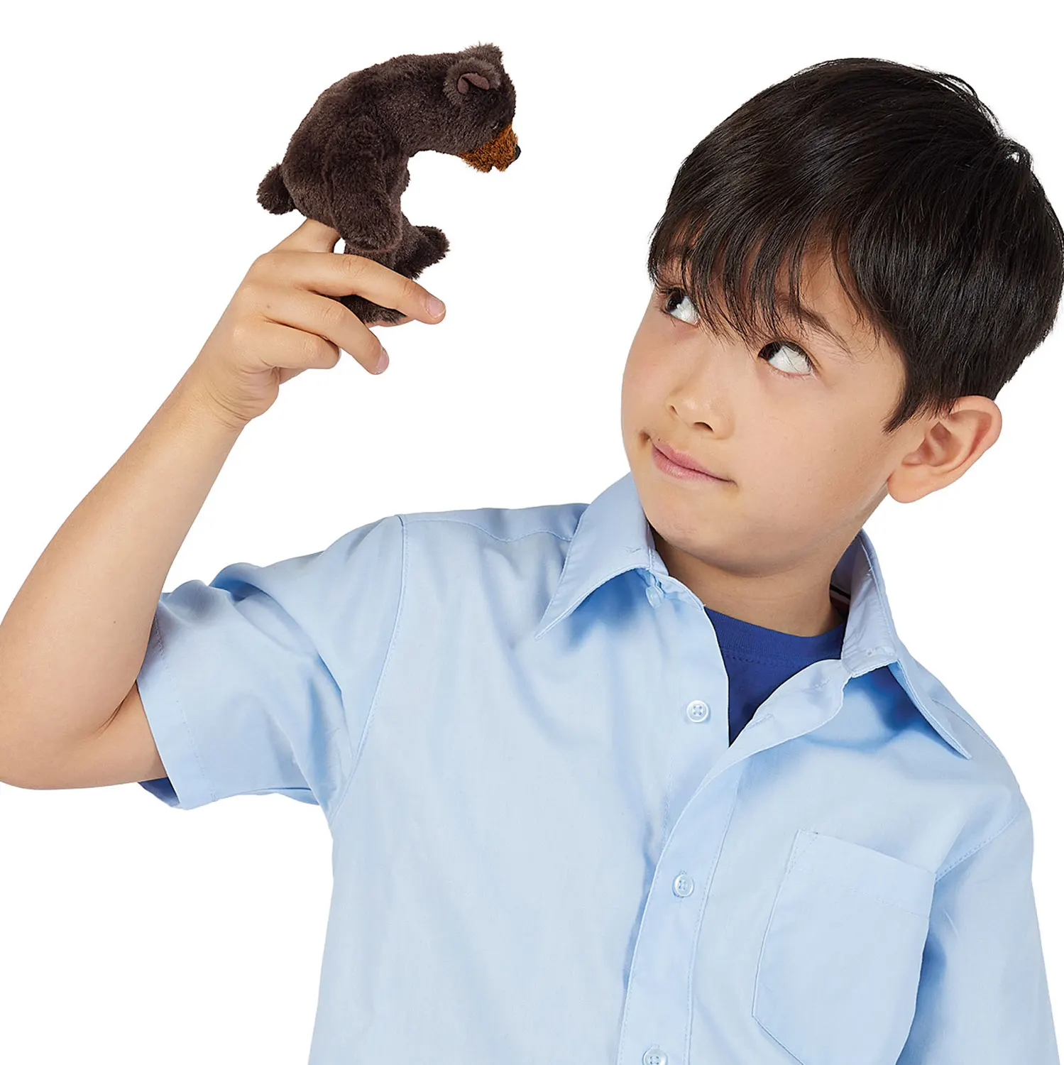 Mini Bear / Mini Bär-Folkmanis® Handpuppen