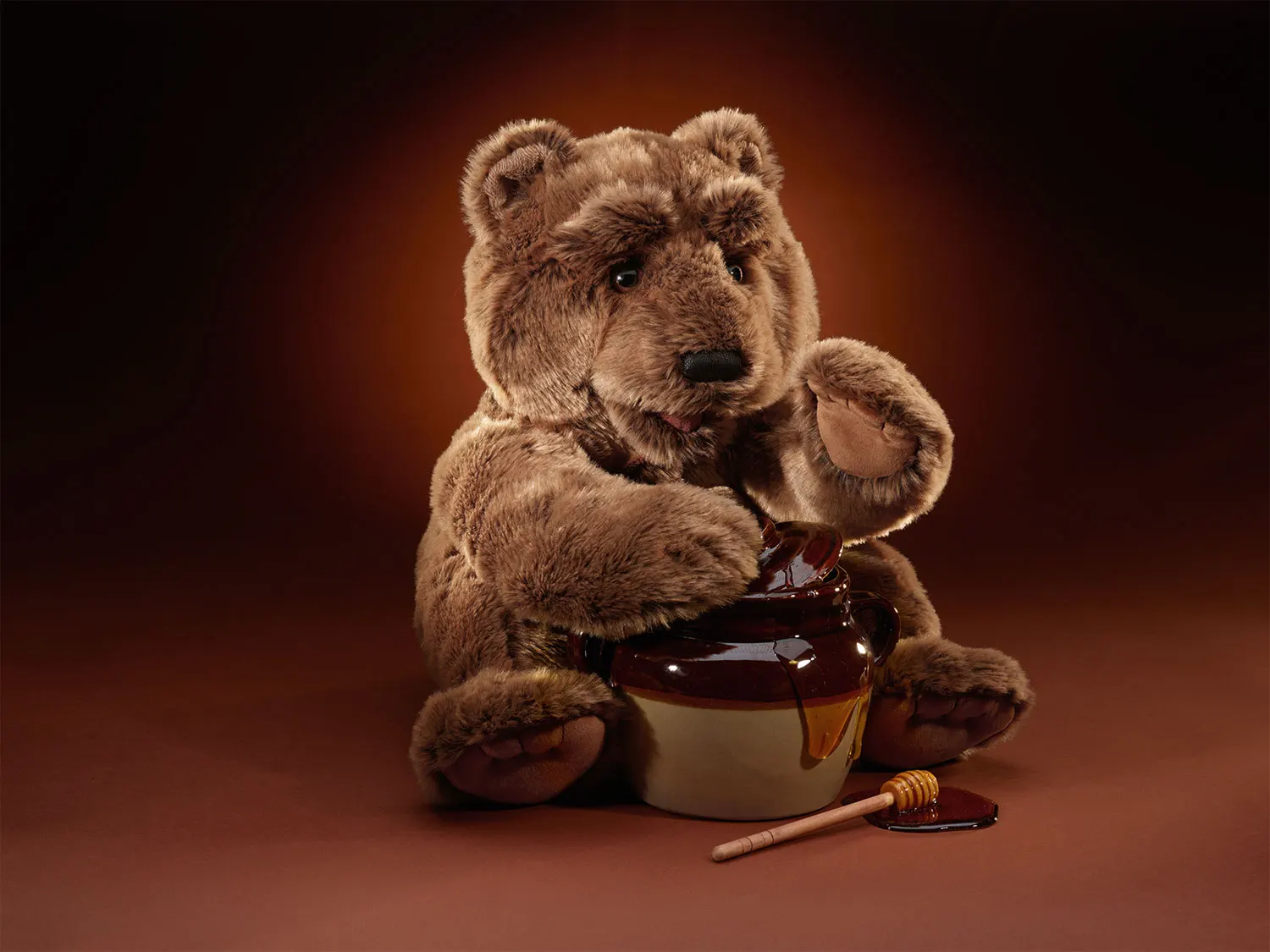 Big Bear / Großer Bär