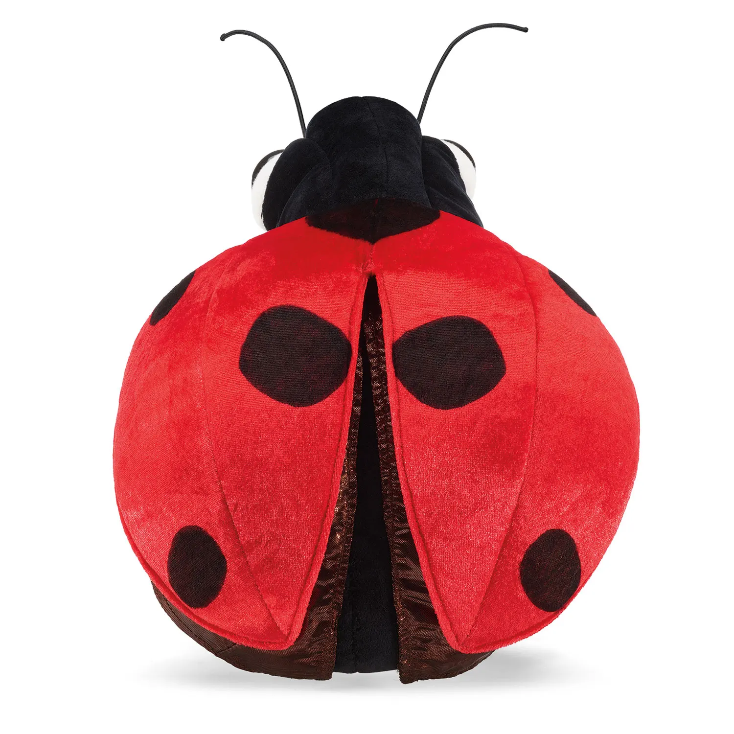 Ladybug / Marienkäfer