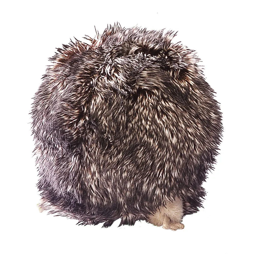 Igel / Hedgehog-Folkmanis® Puppets