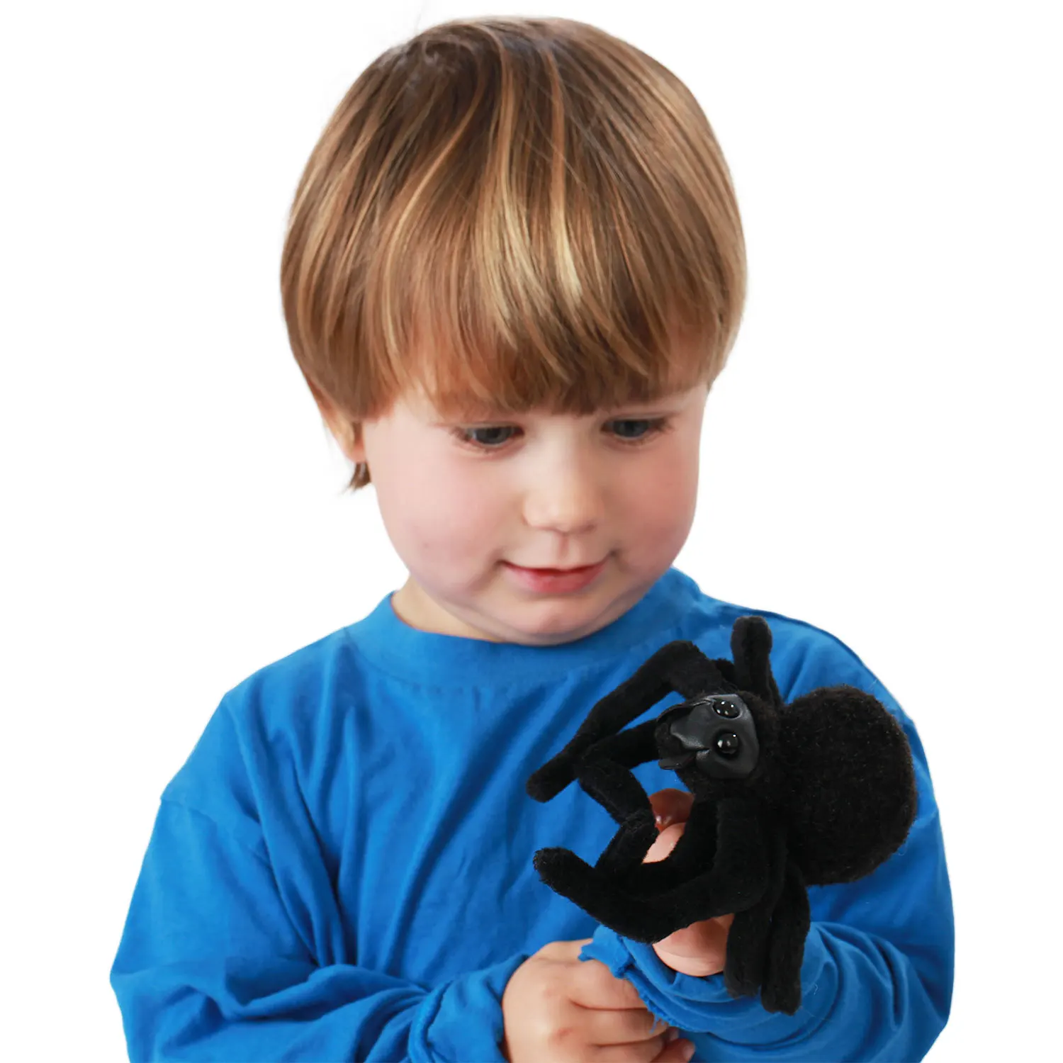 Mini Spinne / Mini Spider-Folkmanis® Puppets