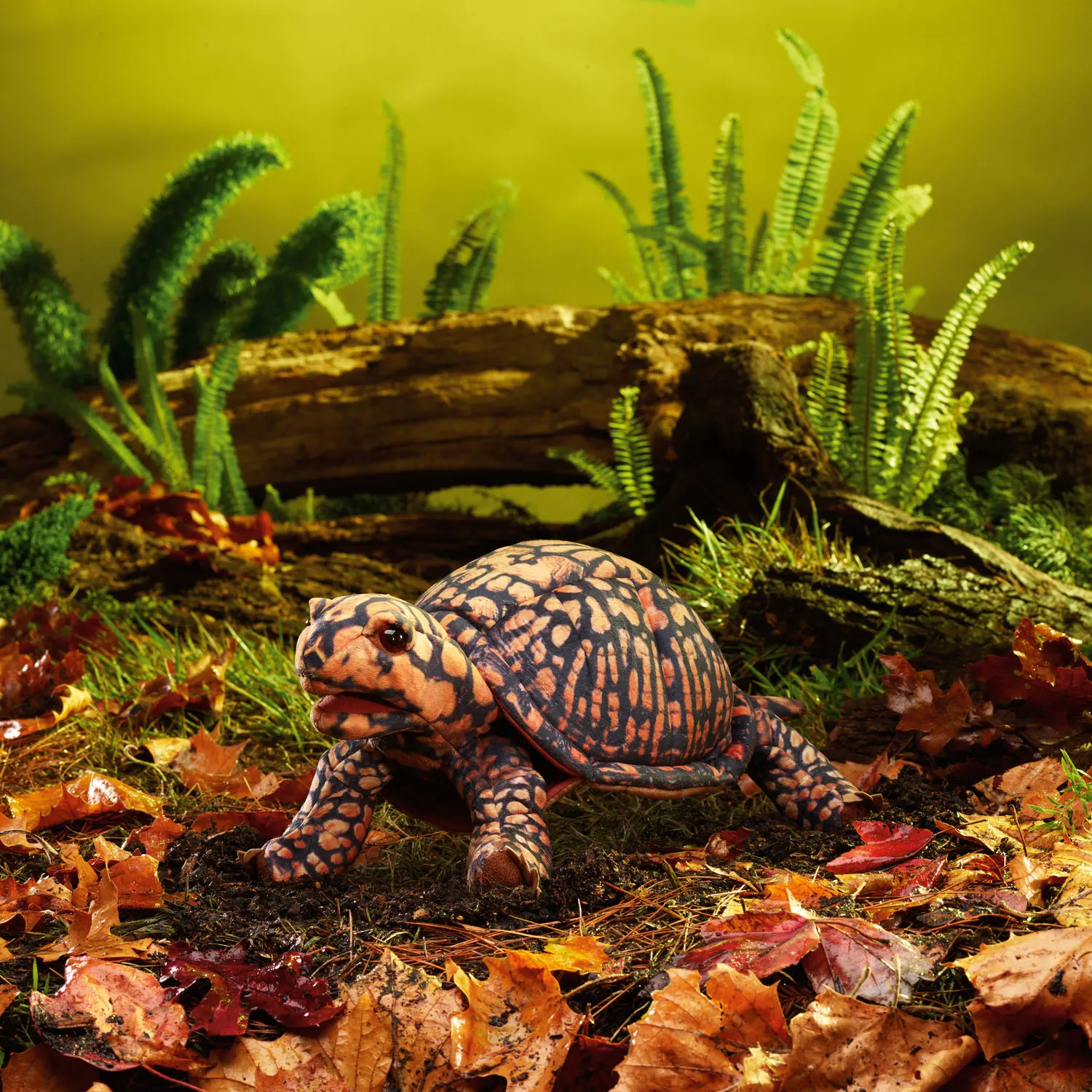 Box Turtle / Dosenschildkröte-Folkmanis® Handpuppen
