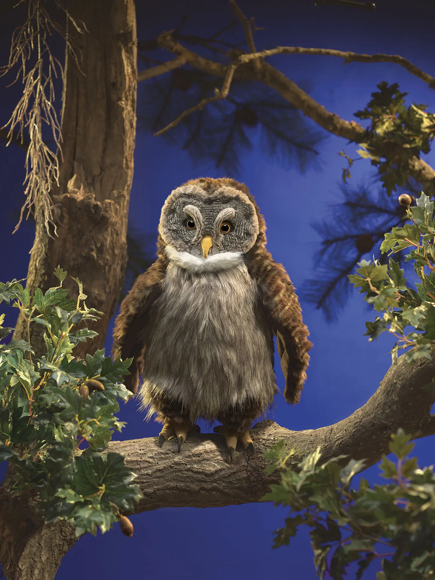 Eule mit „Huhu – Effekt" / Hooting Owl-Folkmanis® Puppets