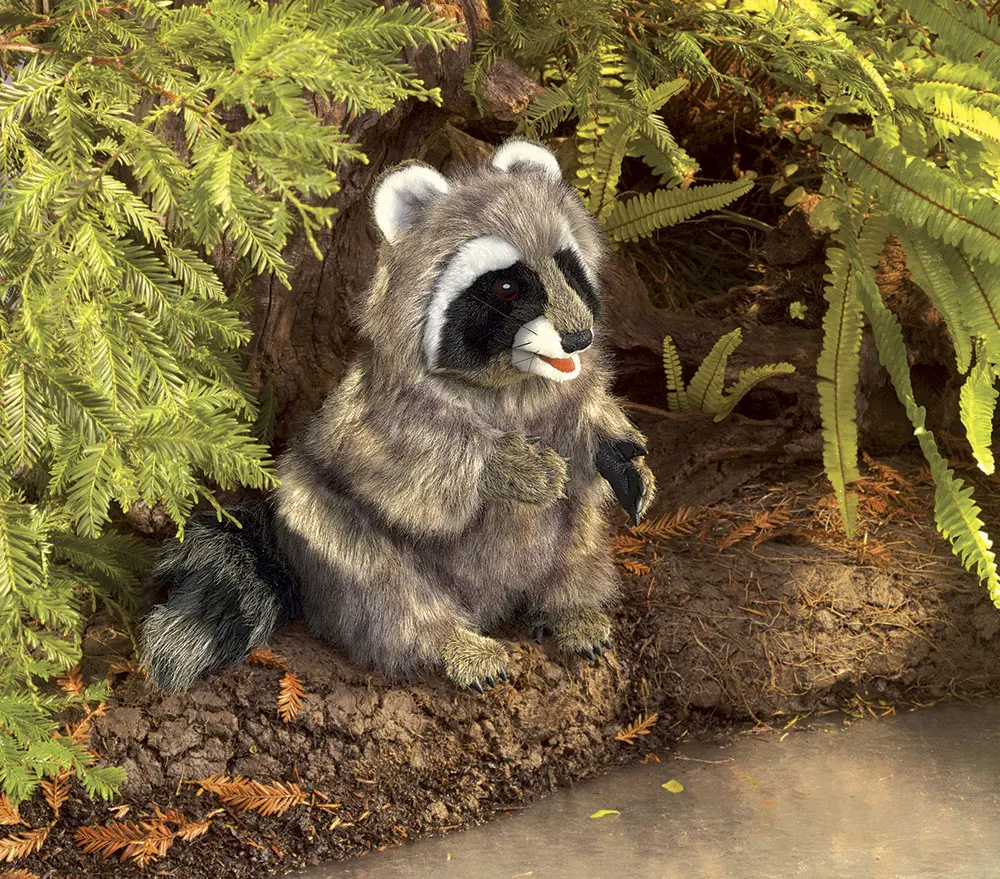 Waschbär / Raccoon-Folkmanis® Puppets
