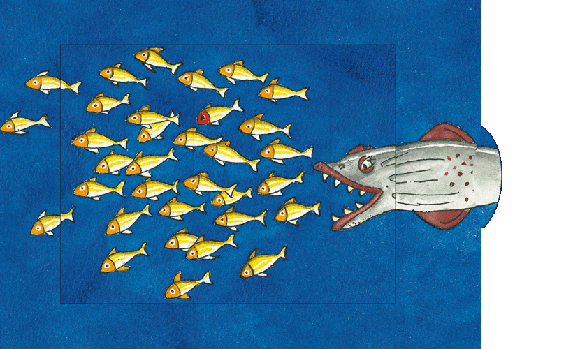 Lebende Karte SM117 Fischschwarm-Bärenpresse