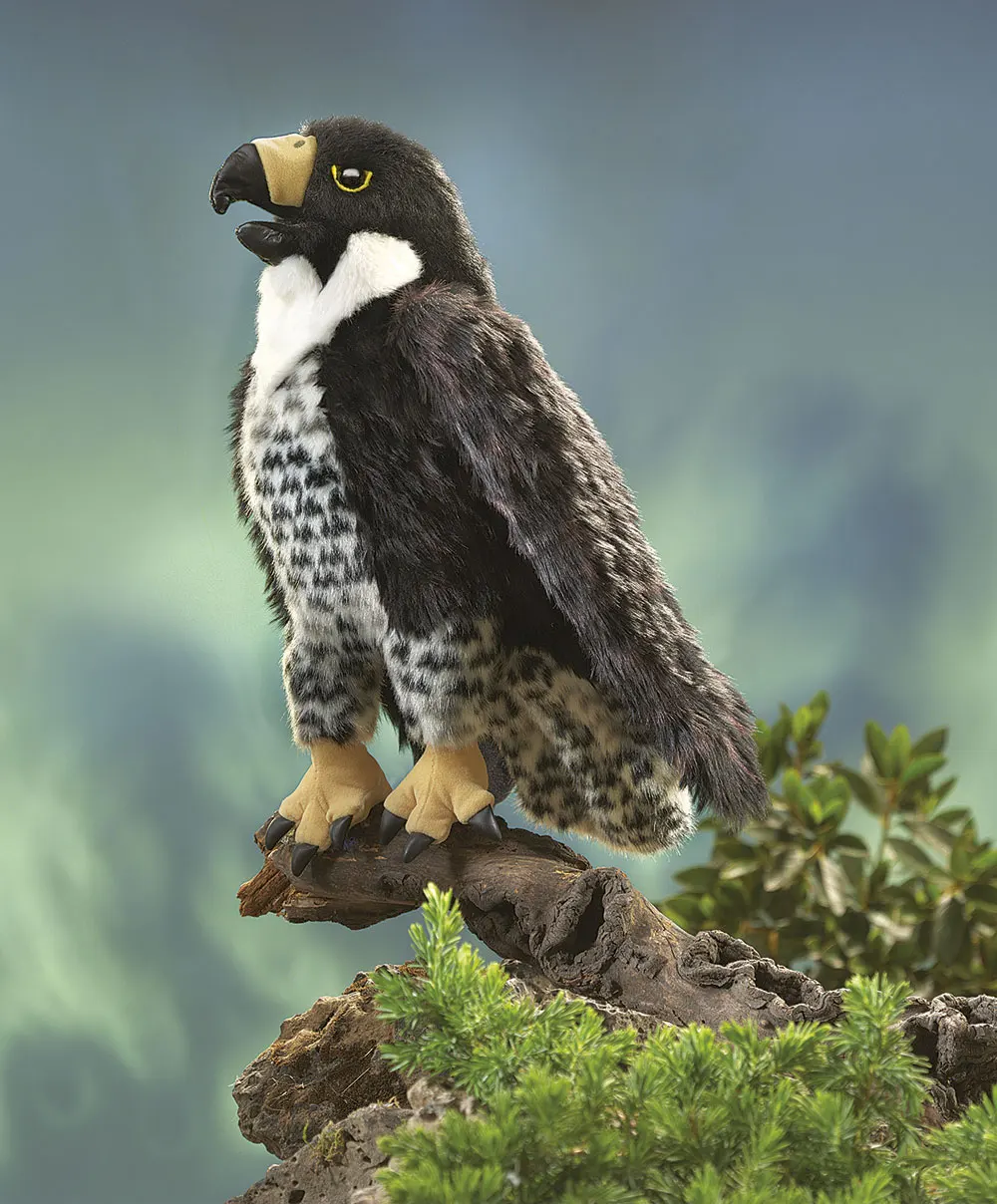 Wanderfalke / Peregrine Falcon-Folkmanis® Puppets