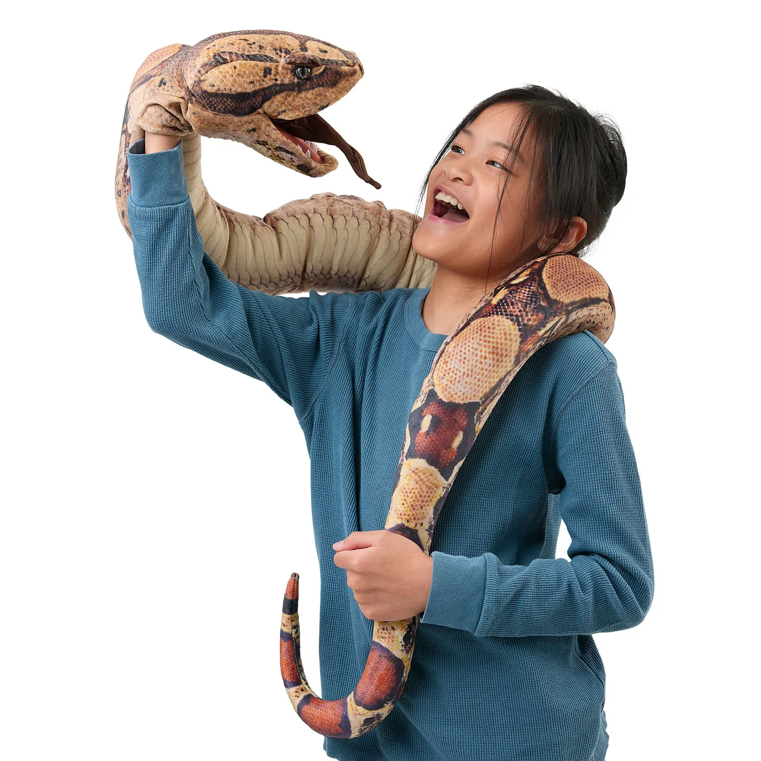 Boa Constrictor