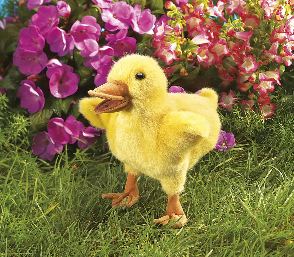 Küken / Duckling-Folkmanis® Puppets