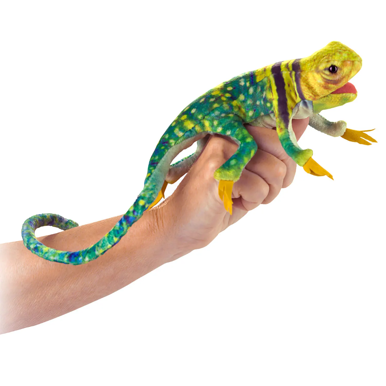 Mini Collared Lizard / Mini Eidechse-Folkmanis® Puppets
