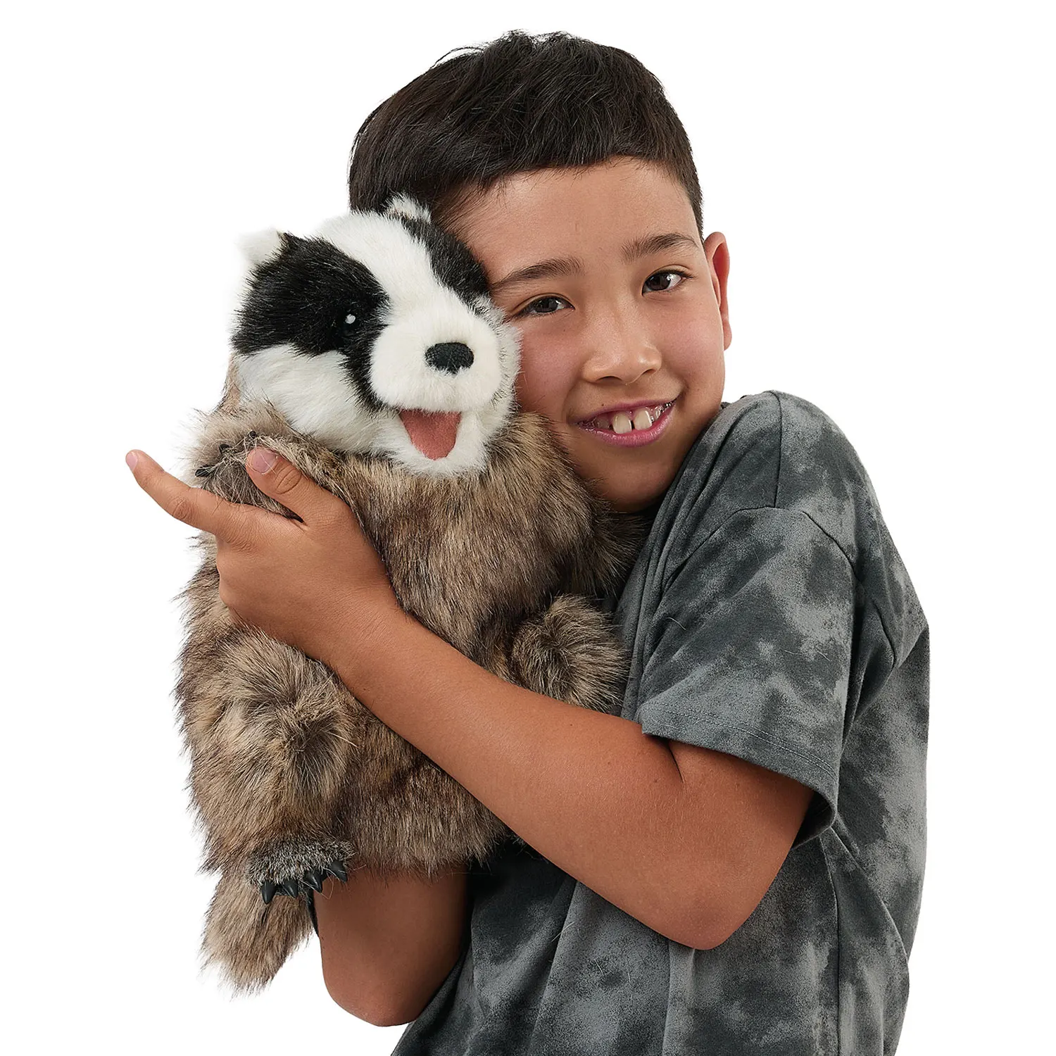 Badger / Dachs