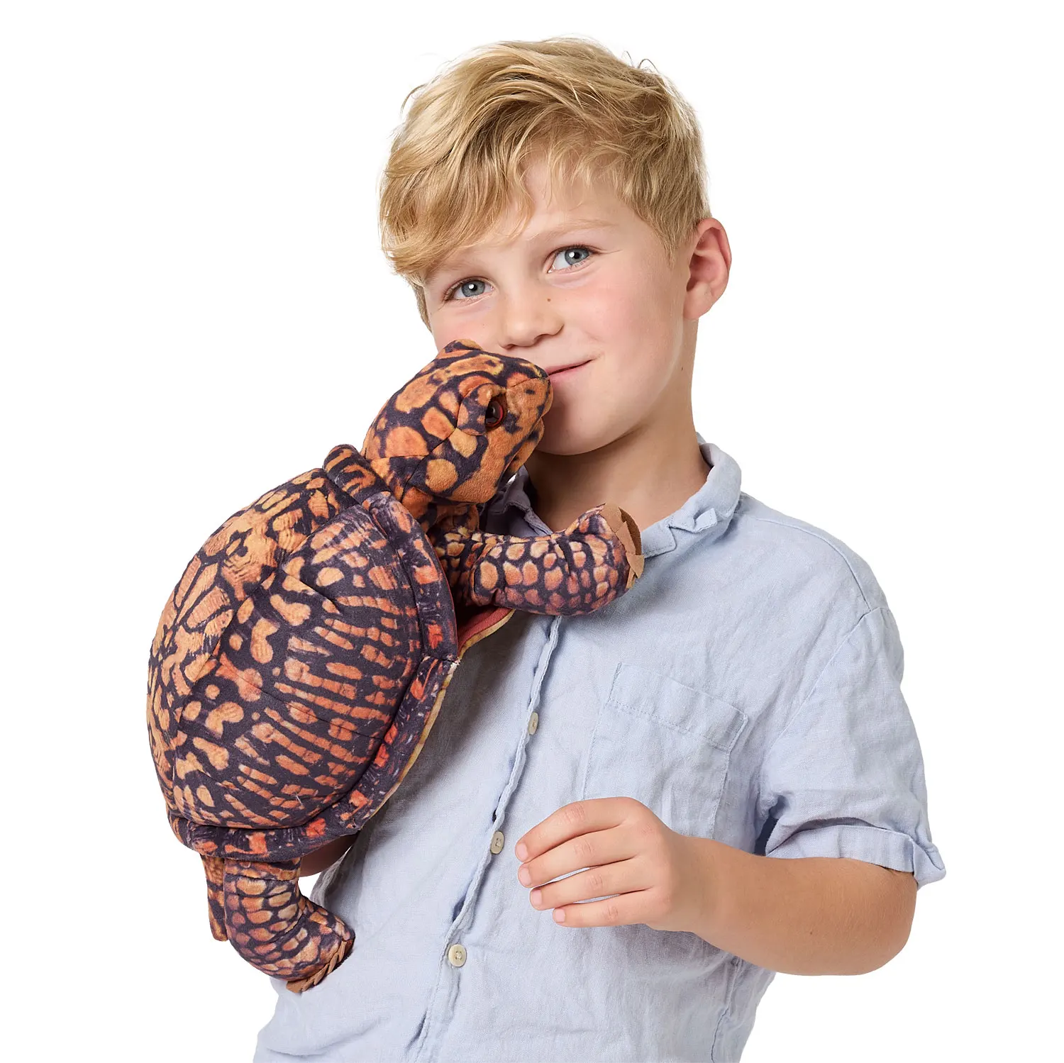 Box Turtle / Dosenschildkröte-Folkmanis® Handpuppen