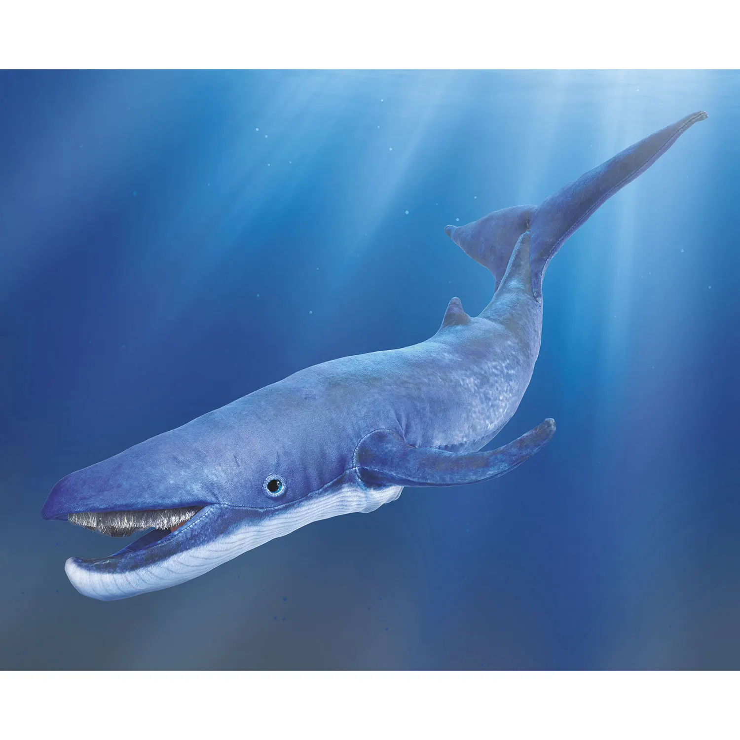 Blauwal / Blue whale-Folkmanis® Puppets