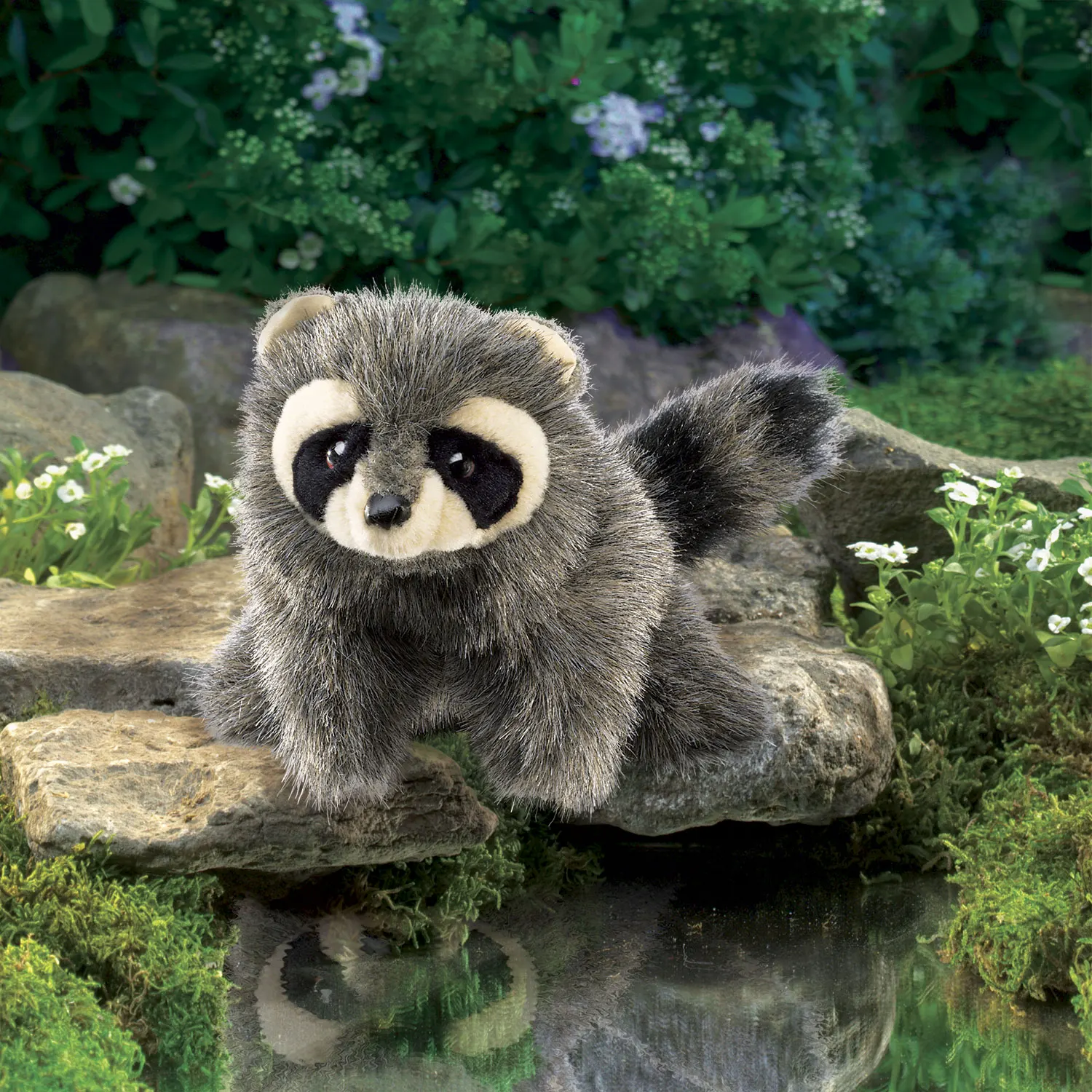 Kleiner Waschbär / Baby Raccoon-Folkmanis® Handpuppen