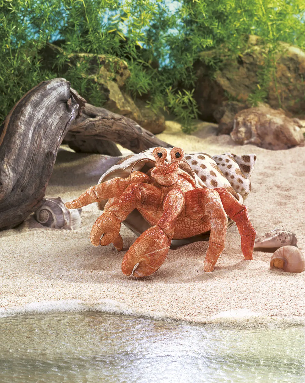 Einsiedlerkrebs / Hermit Crab-Folkmanis® Puppets
