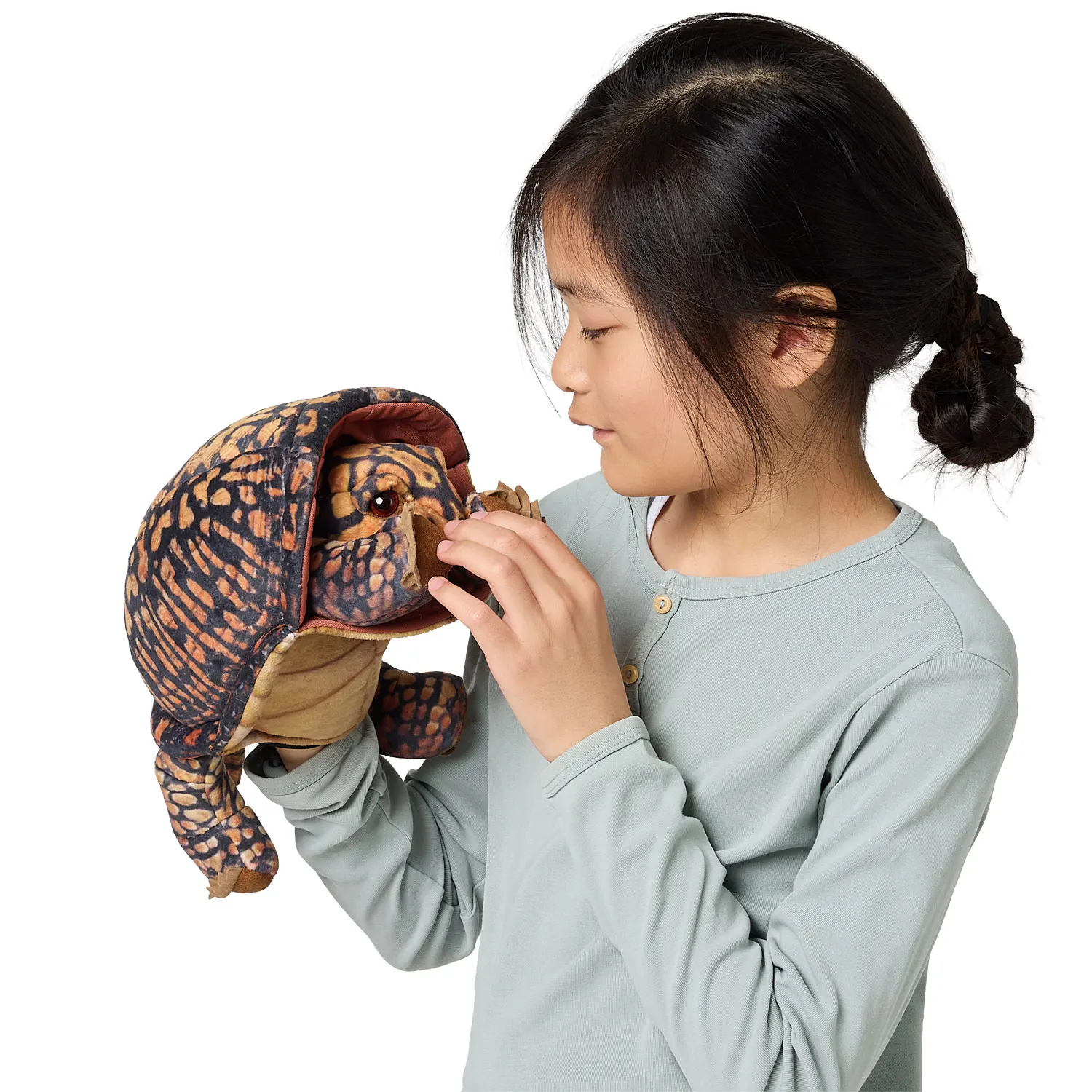 Box Turtle / Dosenschildkröte-Folkmanis® Handpuppen