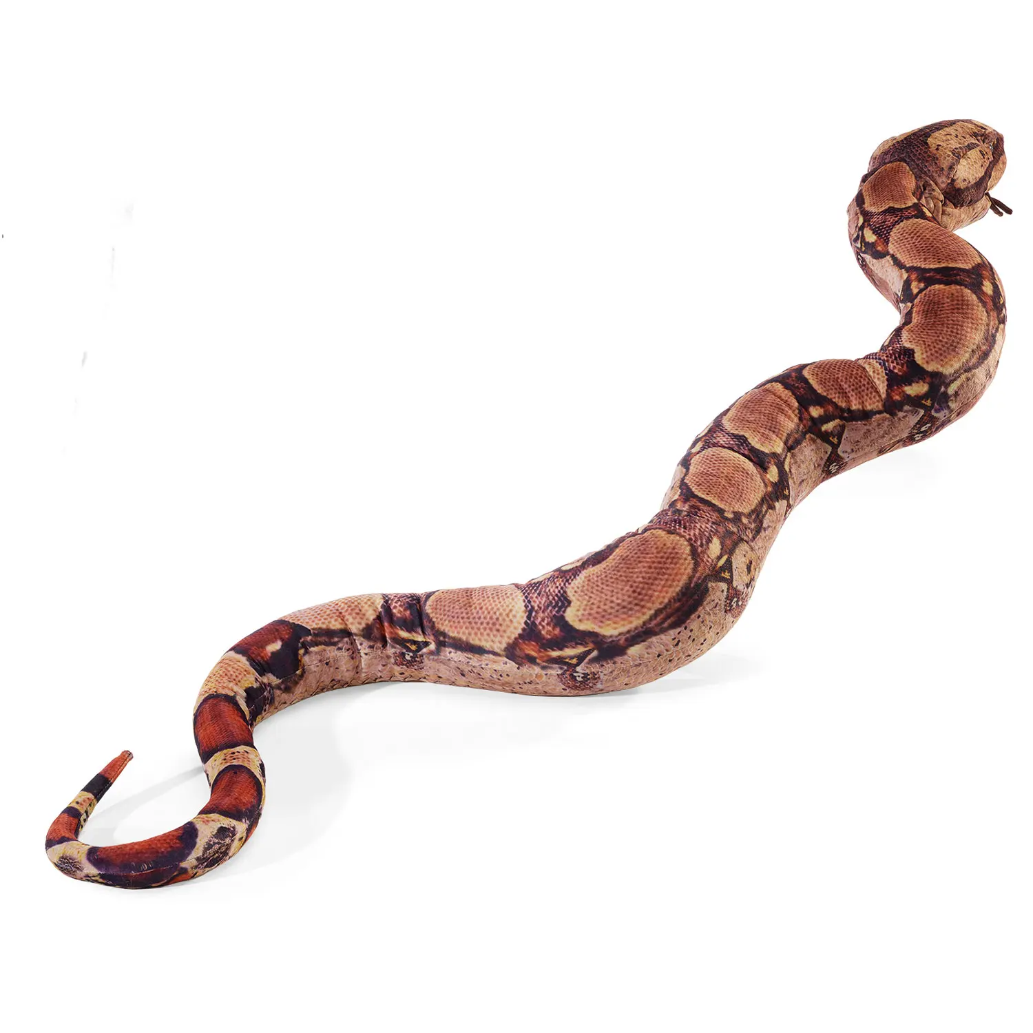Boa Constrictor
