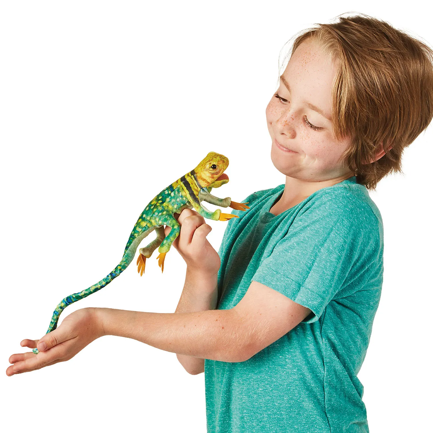 Mini Collared Lizard / Mini Eidechse-Folkmanis® Puppets