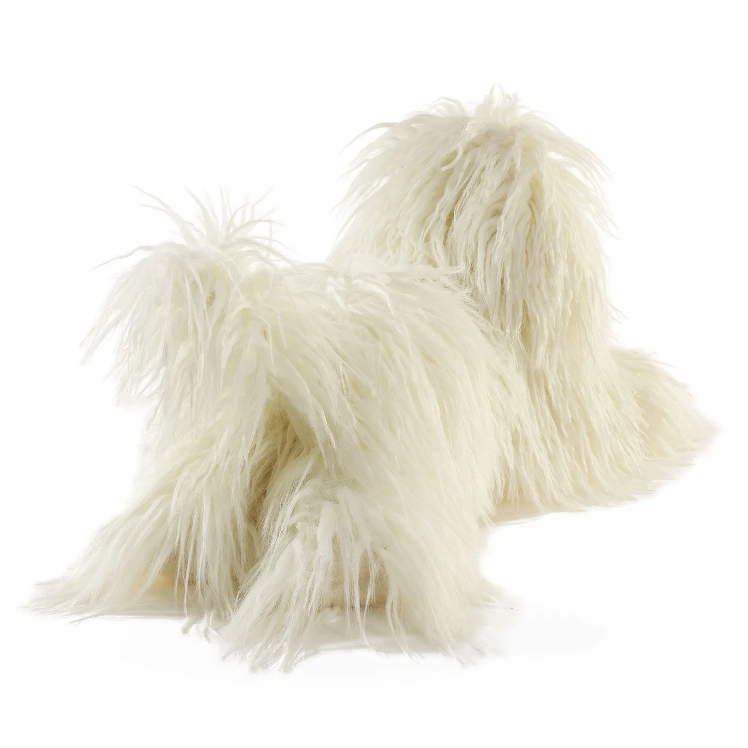 Komondor / Wischmophund