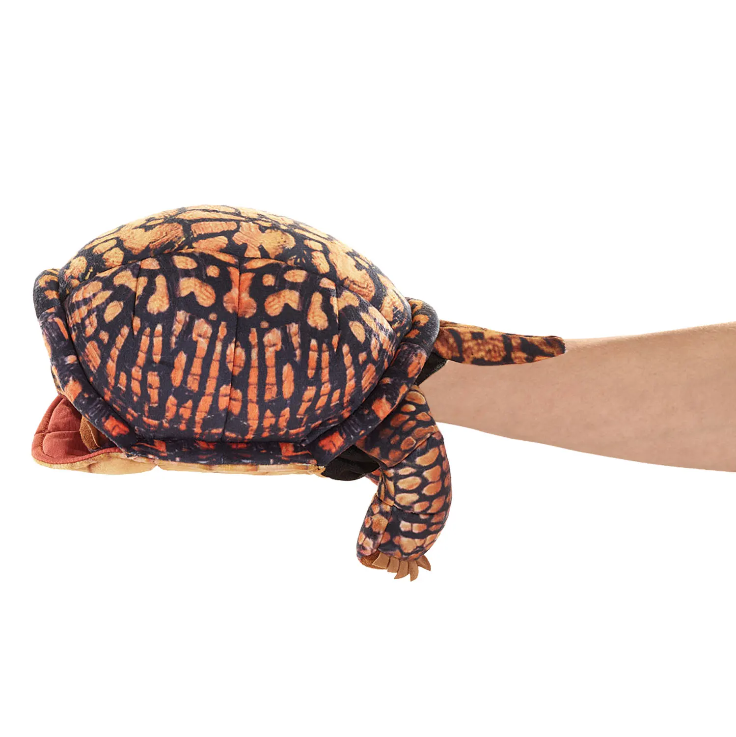 Box Turtle / Dosenschildkröte-Folkmanis® Handpuppen