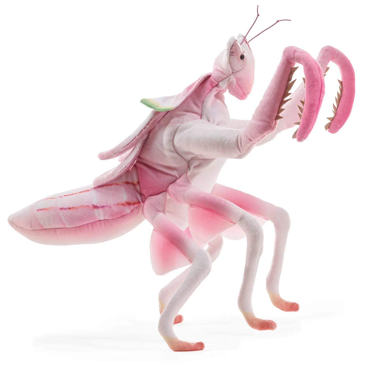 Gottesanbeterin / Orchid Mantis-Folkmanis® Handpuppen