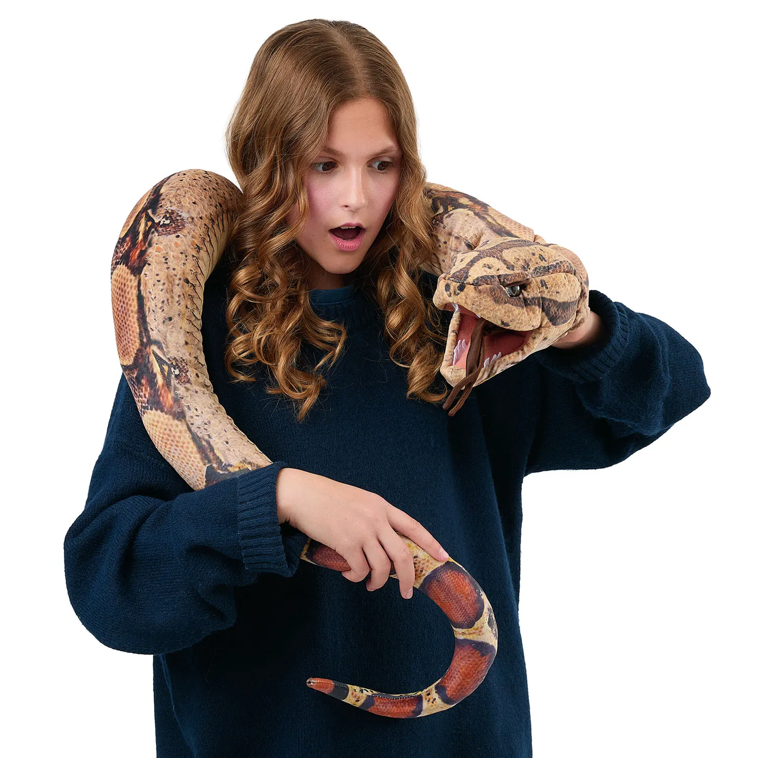 Boa Constrictor