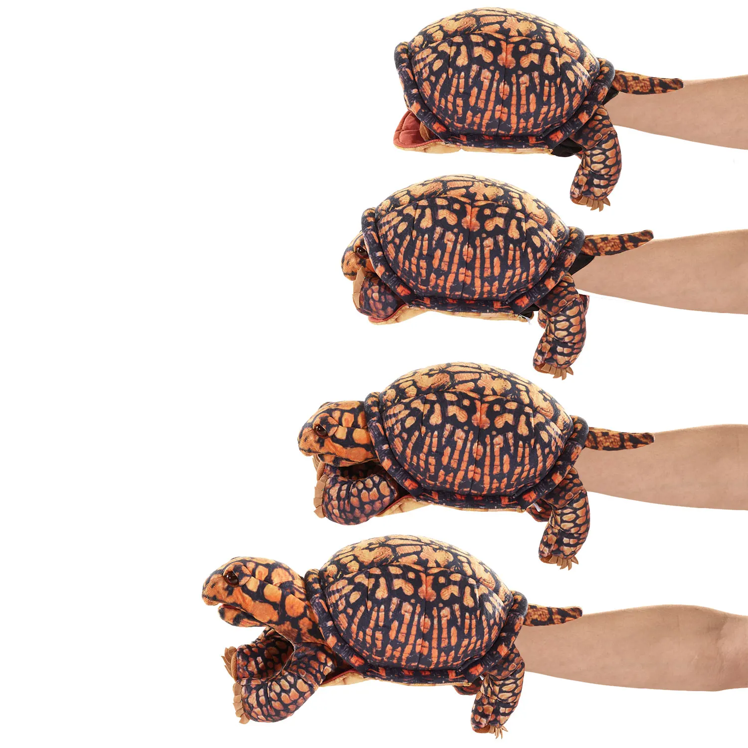 Box Turtle / Dosenschildkröte-Folkmanis® Handpuppen