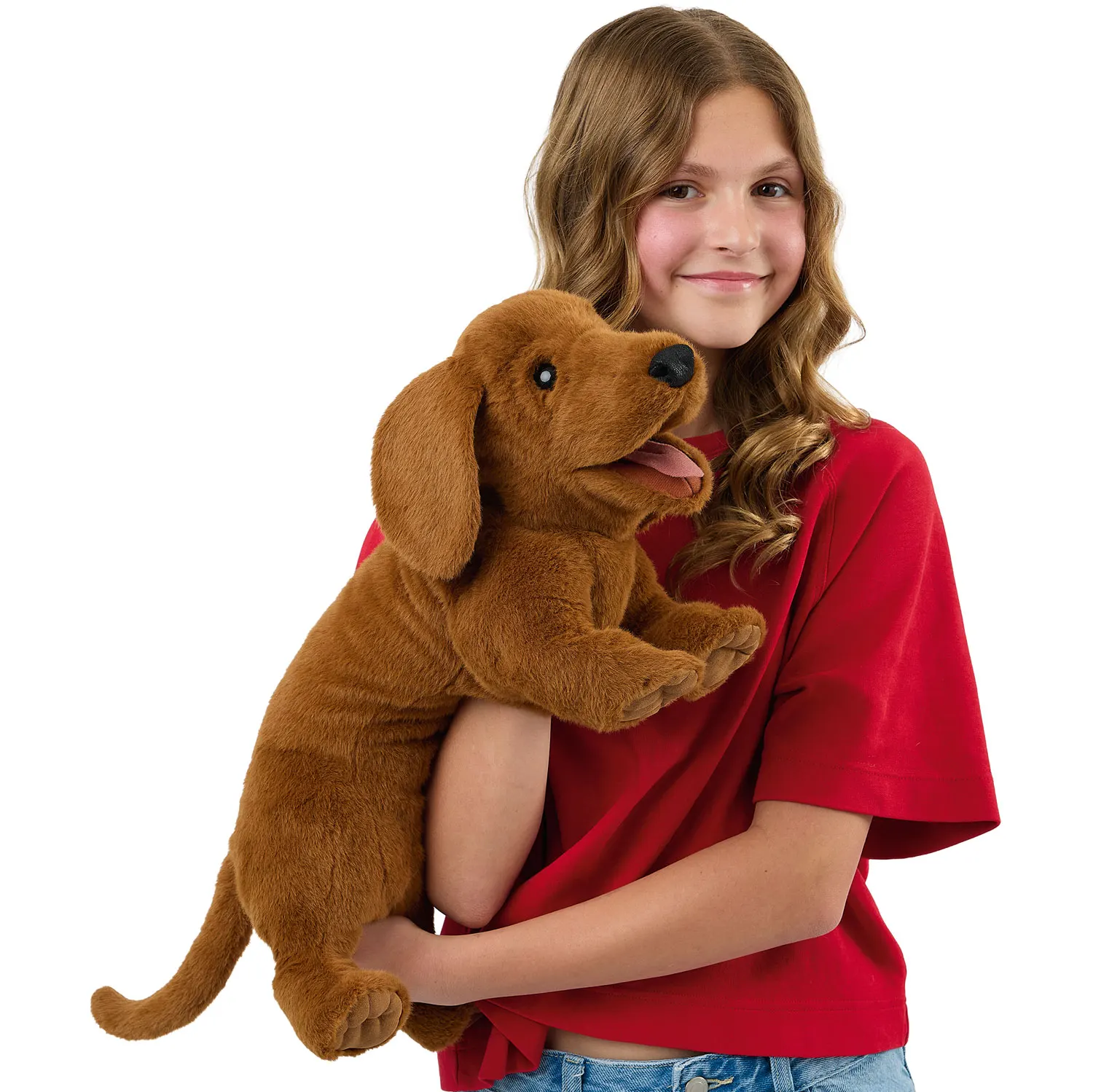 Dachshund / Dackel