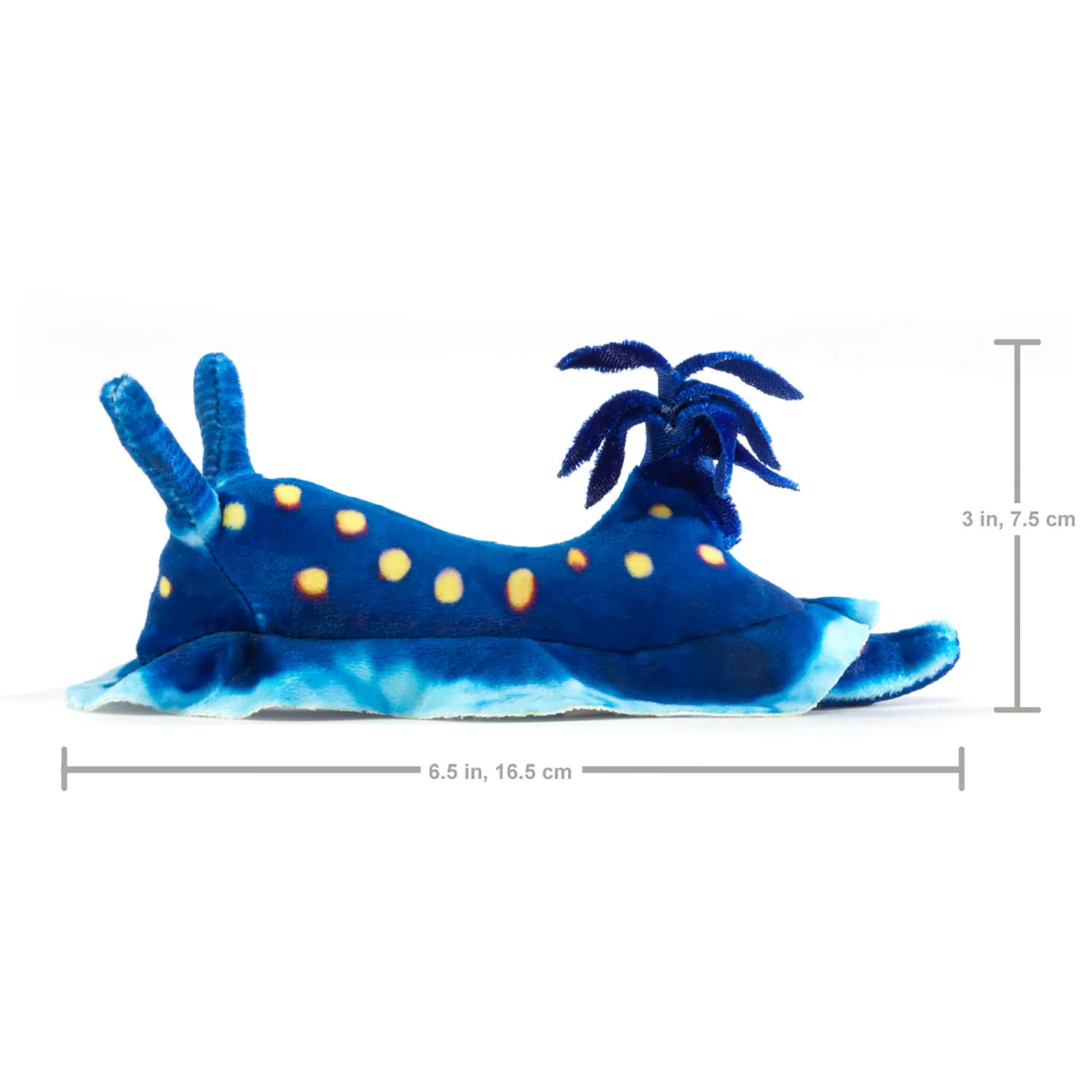 Mini Blue Nudibranch / Mini Ozeanschnecke-Folkmanis® Handpuppen