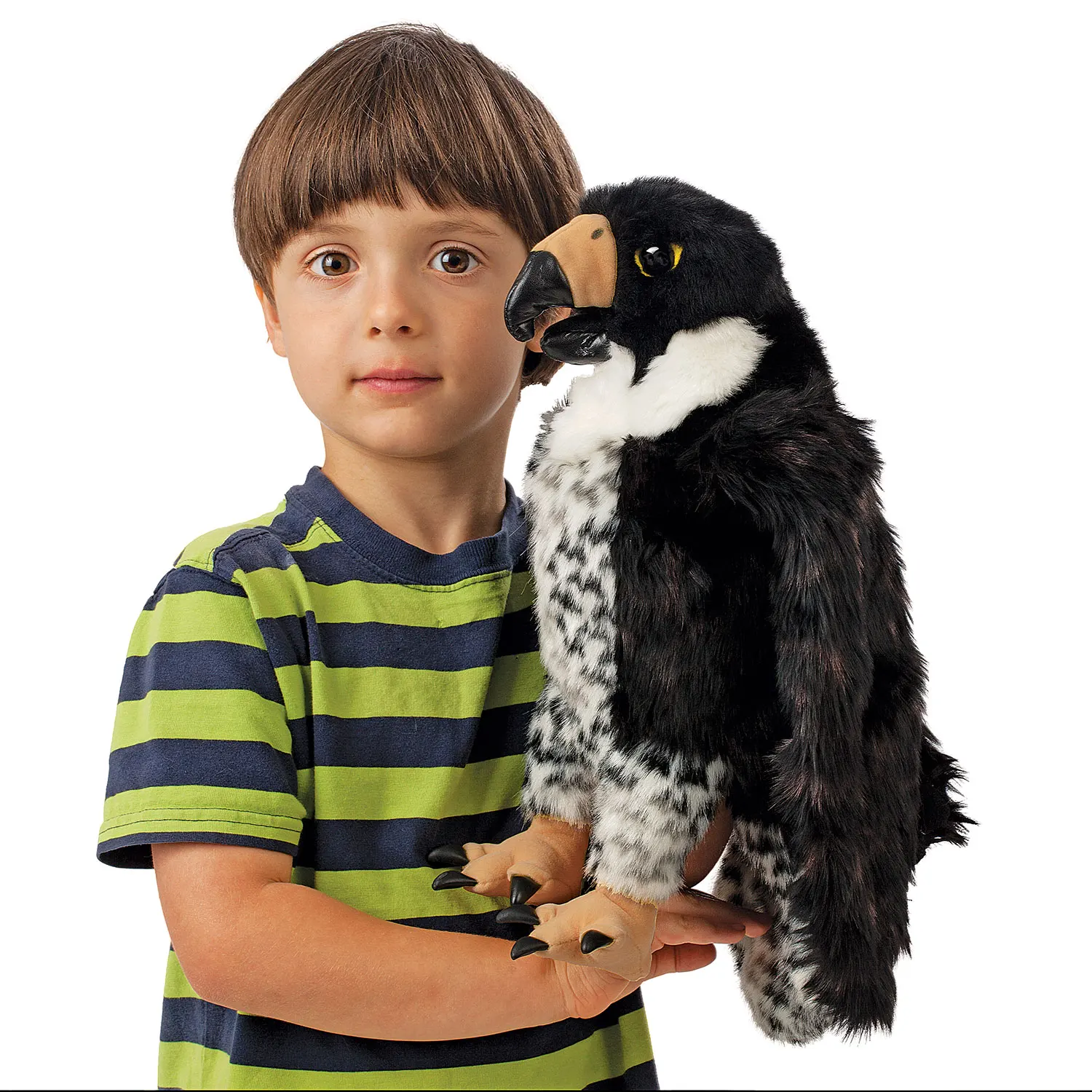 Wanderfalke / Peregrine Falcon-Folkmanis® Puppets