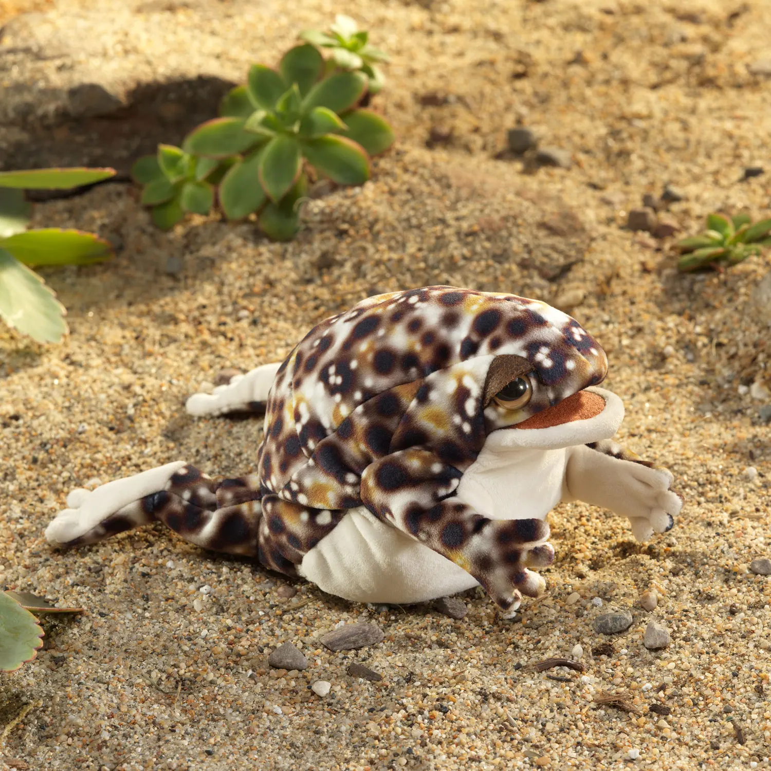 Desert Rain Frog / Wüstenregenfrosch-Folkmanis® Puppets