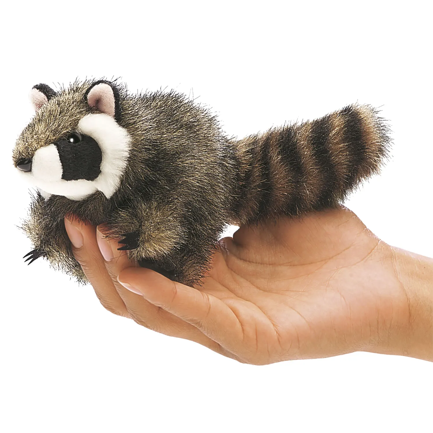 Mini Waschbär / Mini Raccoon-Folkmanis® Puppets