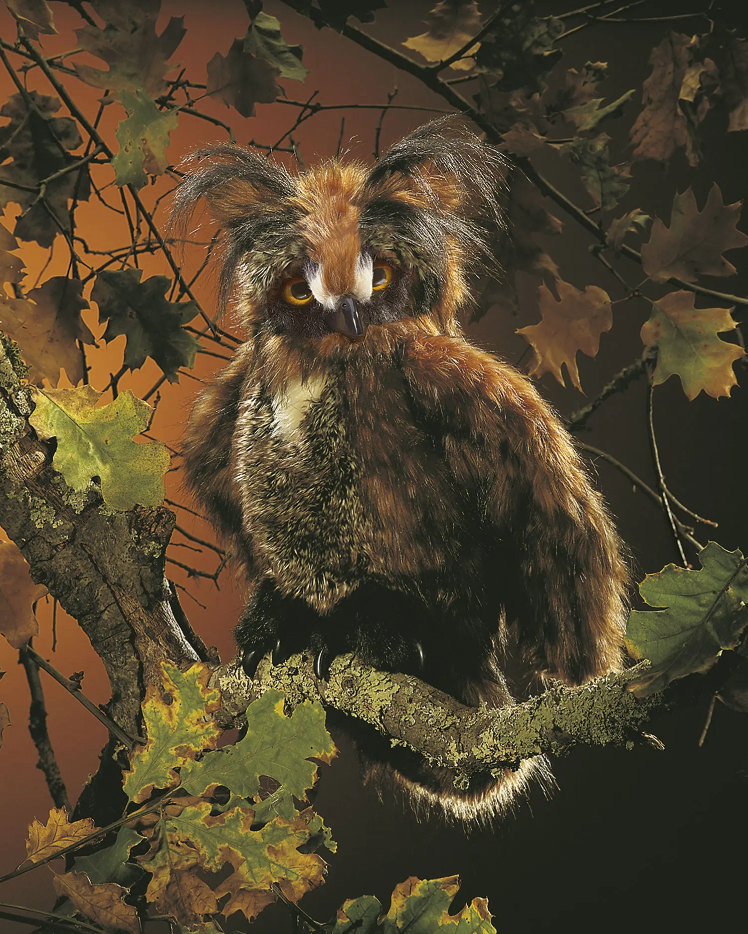 Eule, bewegliche Augendeckel / Great Horned Owl-Folkmanis® Puppets