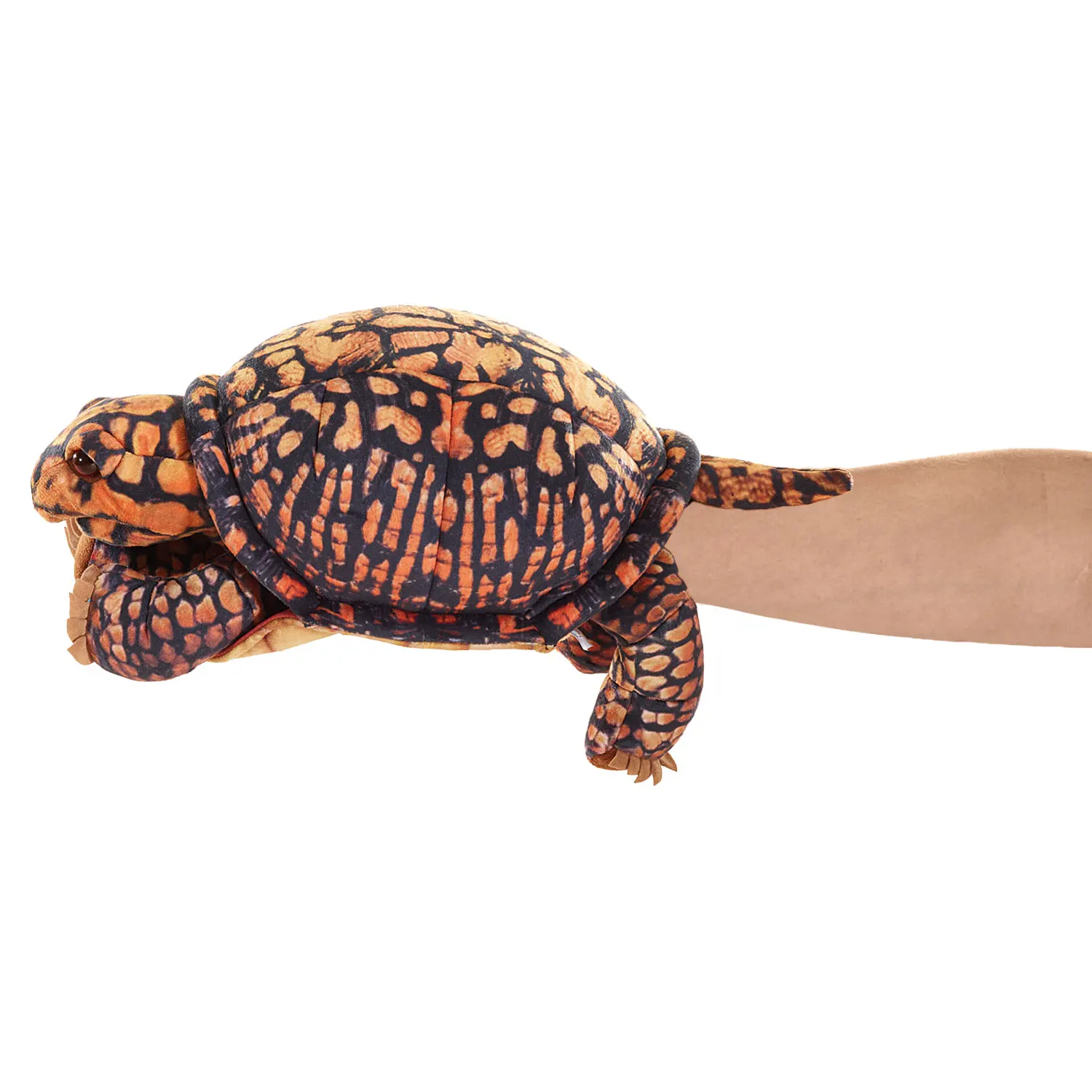Box Turtle / Dosenschildkröte-Folkmanis® Handpuppen