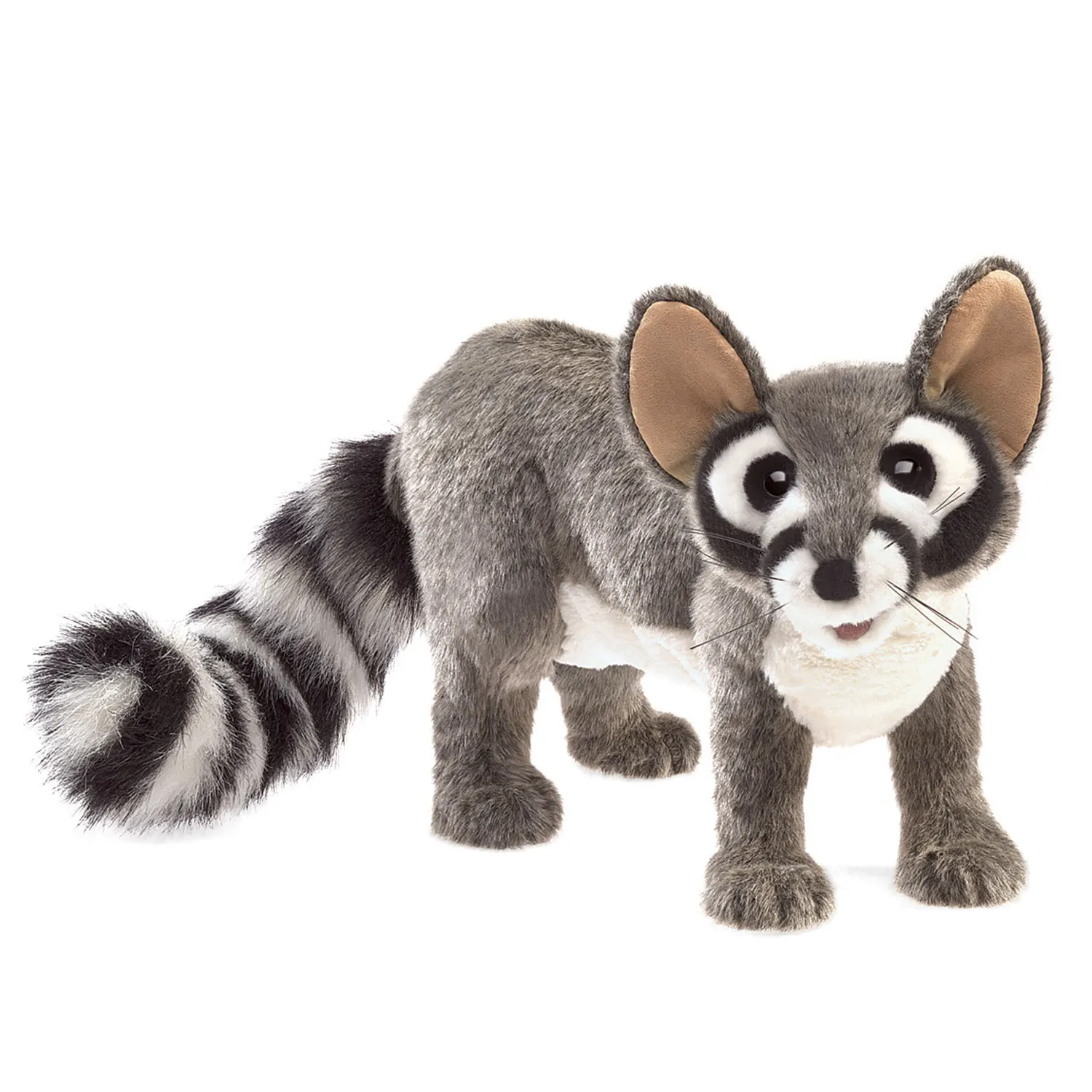 Katzenfrett (aus Waschbärfamilie) / Ringtail Cat-Folkmanis® Puppets