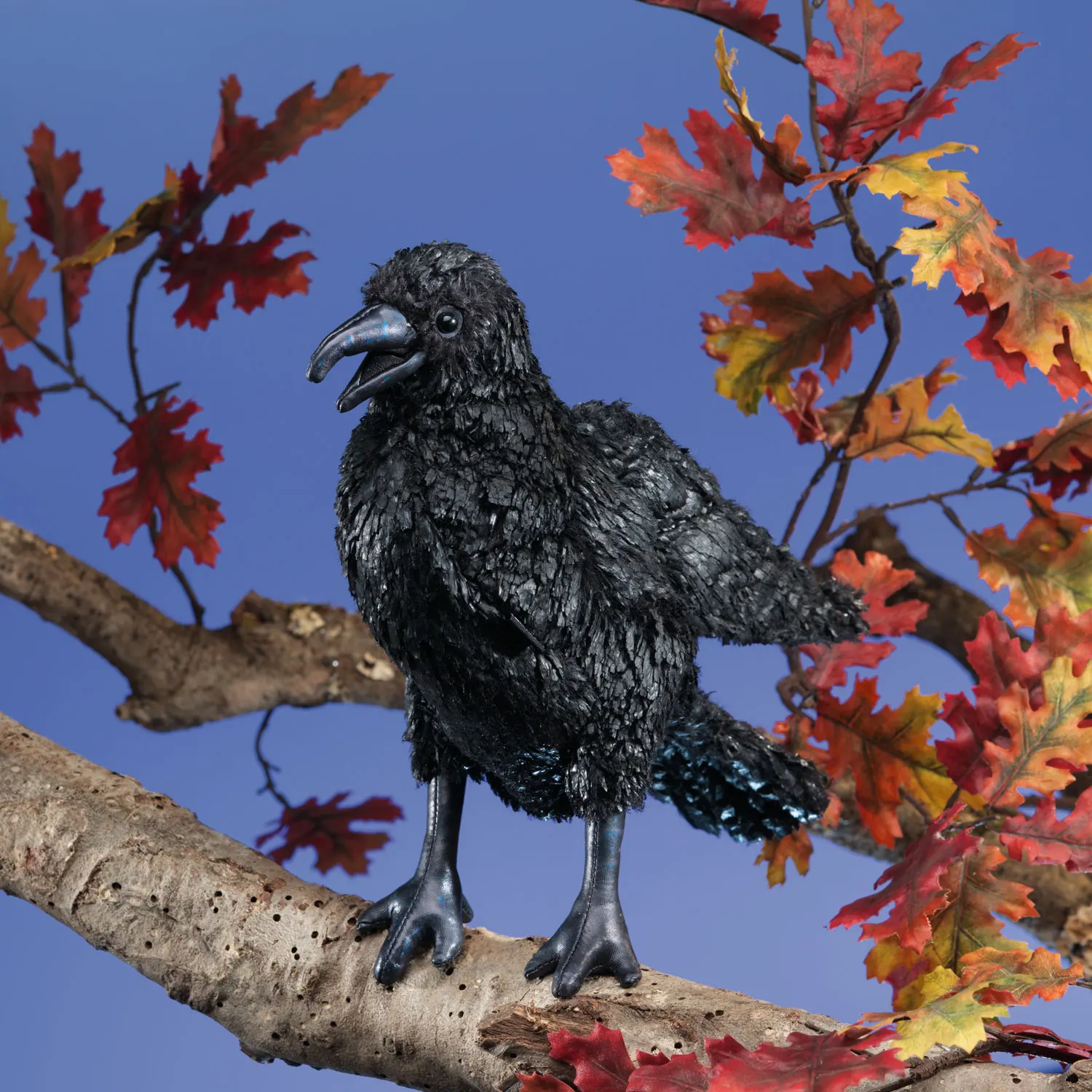 Crow / Krähe-Folkmanis® Puppets