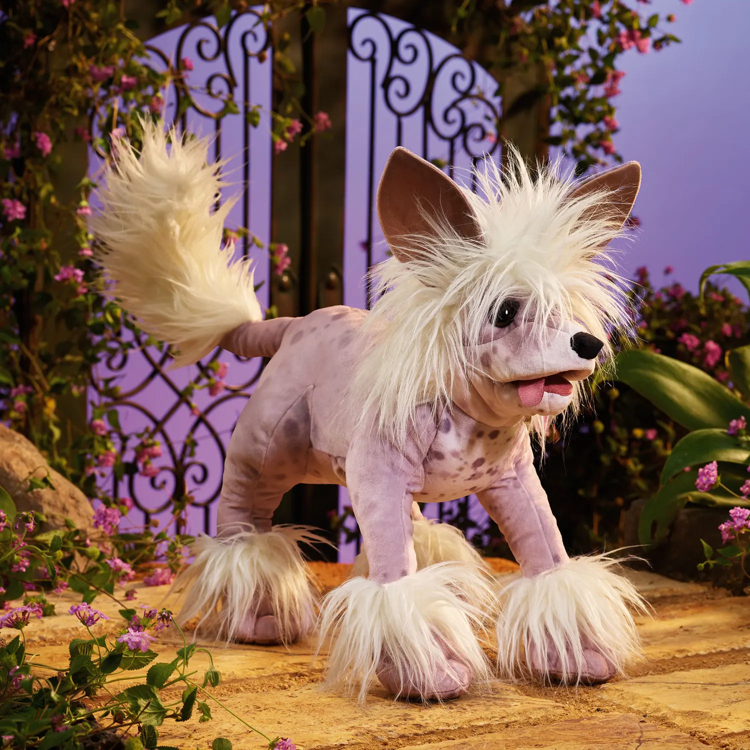 Chinese Crested Dog / Chinesischer Schopfhund-Folkmanis® Handpuppen