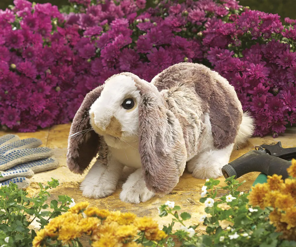 Hängeohr-Hasenbaby / Baby Lop Rabbit-Folkmanis® Puppets
