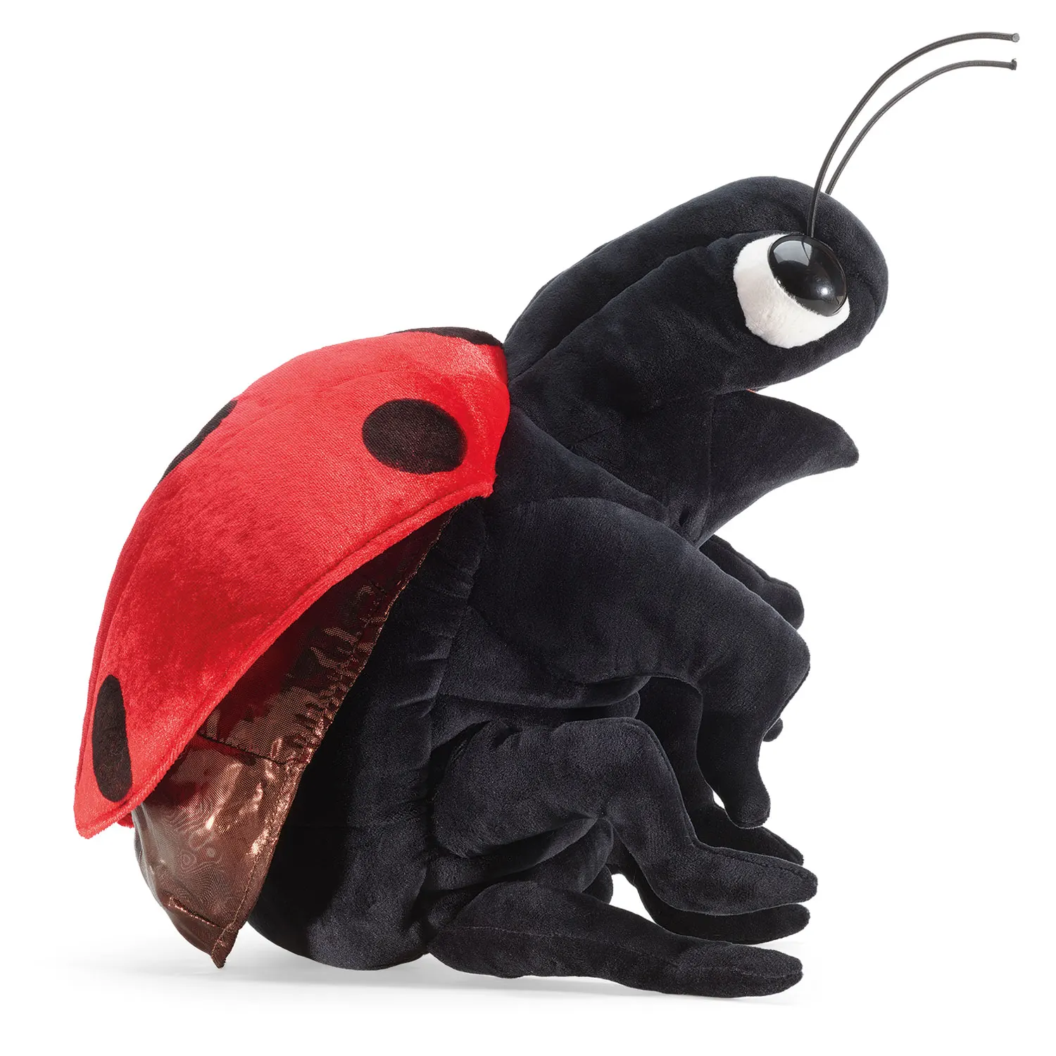 Ladybug / Marienkäfer