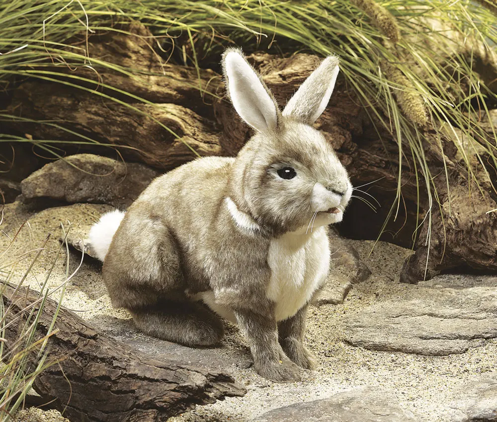 Baumwollschwanz-Kaninchen / Rabbit, Cottontail-Folkmanis® Puppets